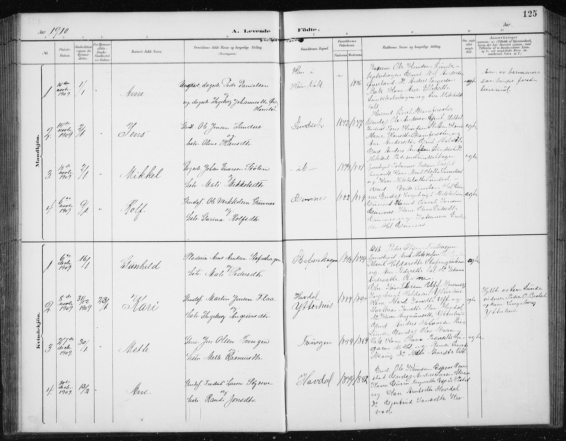 Ministerialprotokoller, klokkerbøker og fødselsregistre - Sør-Trøndelag, SAT/A-1456/674/L0876: Parish register (copy) no. 674C03, 1892-1912, p. 125