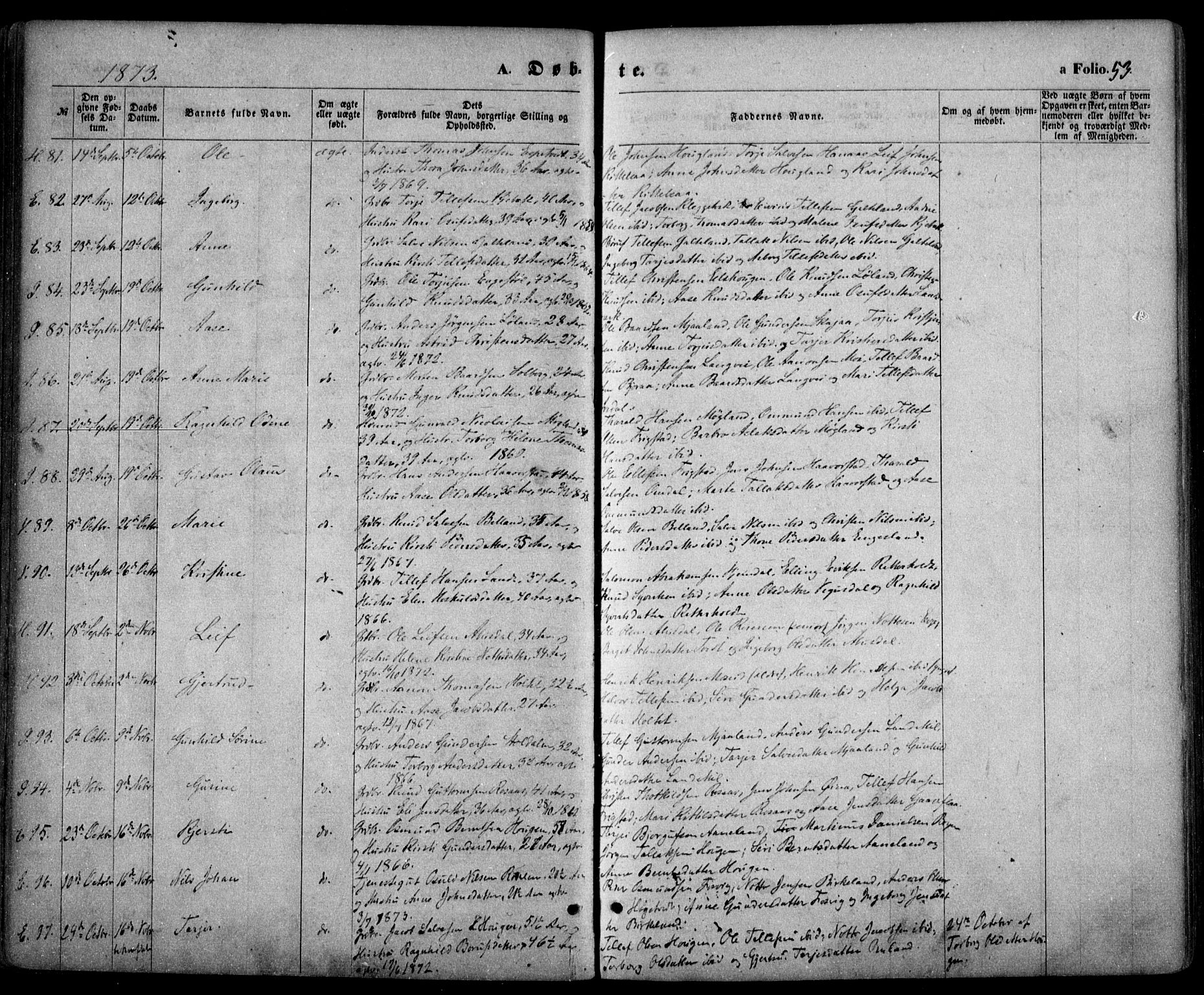 Evje sokneprestkontor, SAK/1111-0008/F/Fa/Faa/L0006: Parish register (official) no. A 6, 1866-1884, p. 53