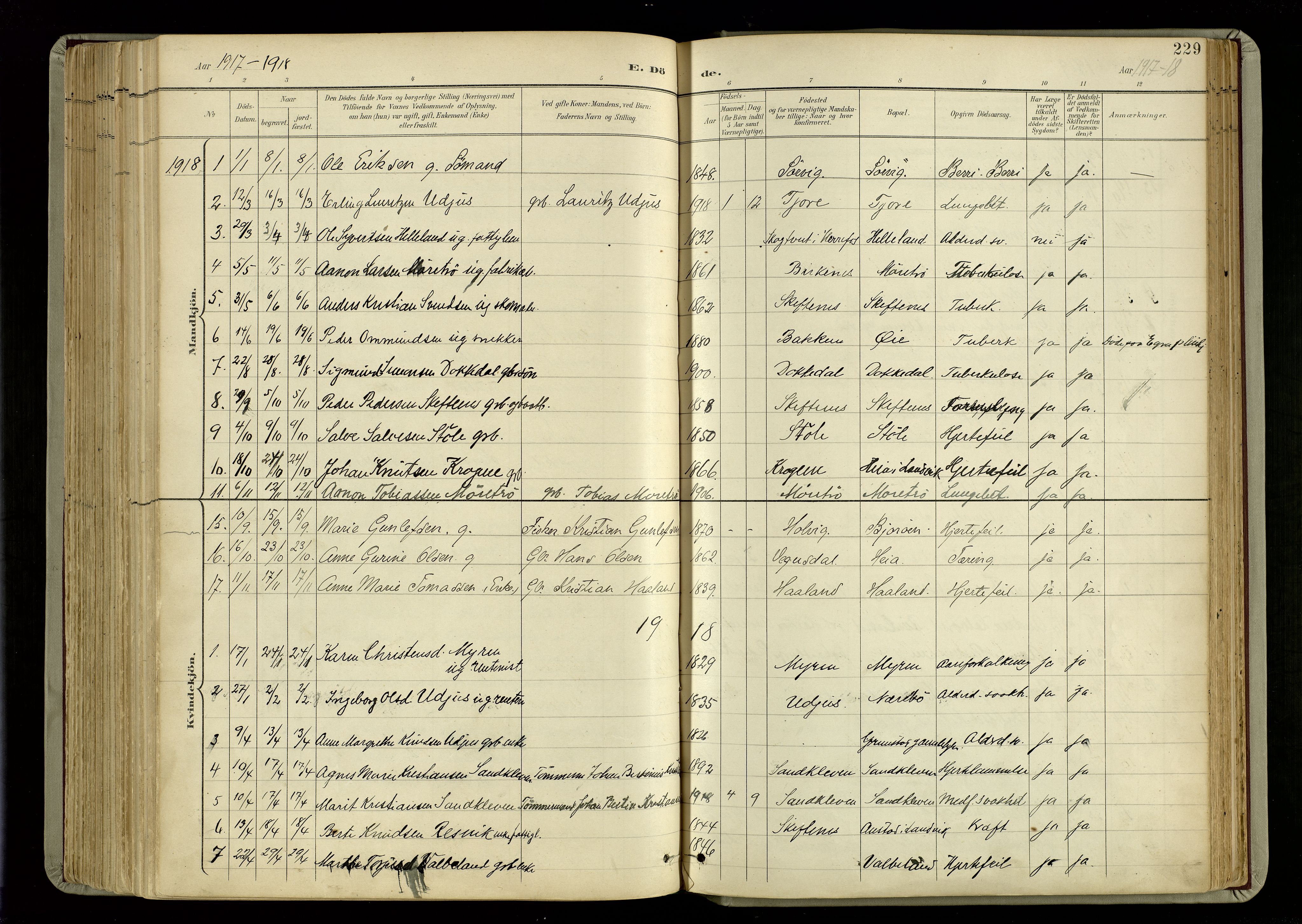 Hommedal sokneprestkontor, SAK/1111-0023/F/Fa/Fab/L0007: Parish register (official) no. A 7, 1898-1924, p. 229