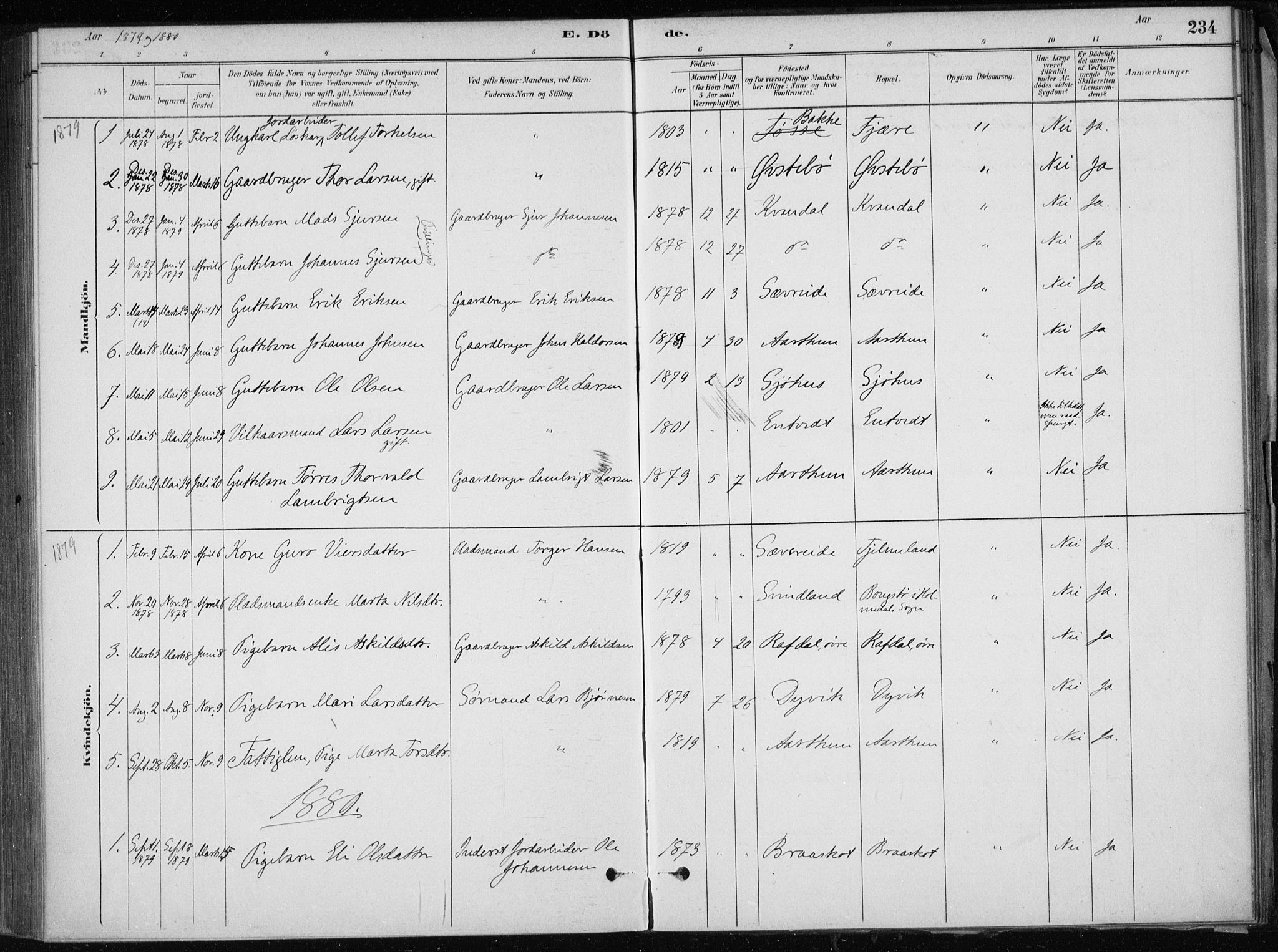 Skånevik sokneprestembete, SAB/A-77801/H/Haa: Parish register (official) no. E  1, 1879-1901, p. 234