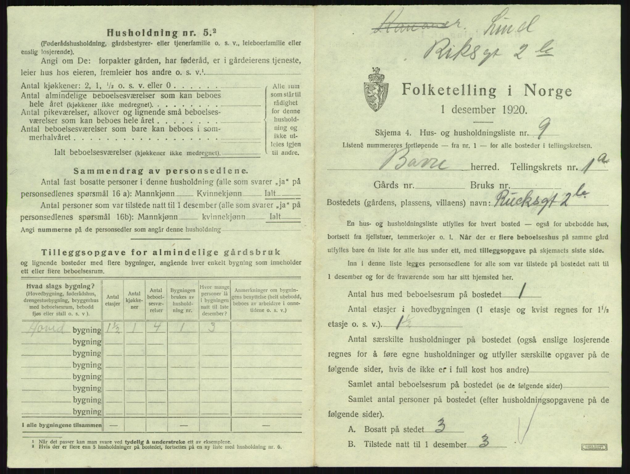 SAKO, 1920 census for Borre, 1920, p. 48