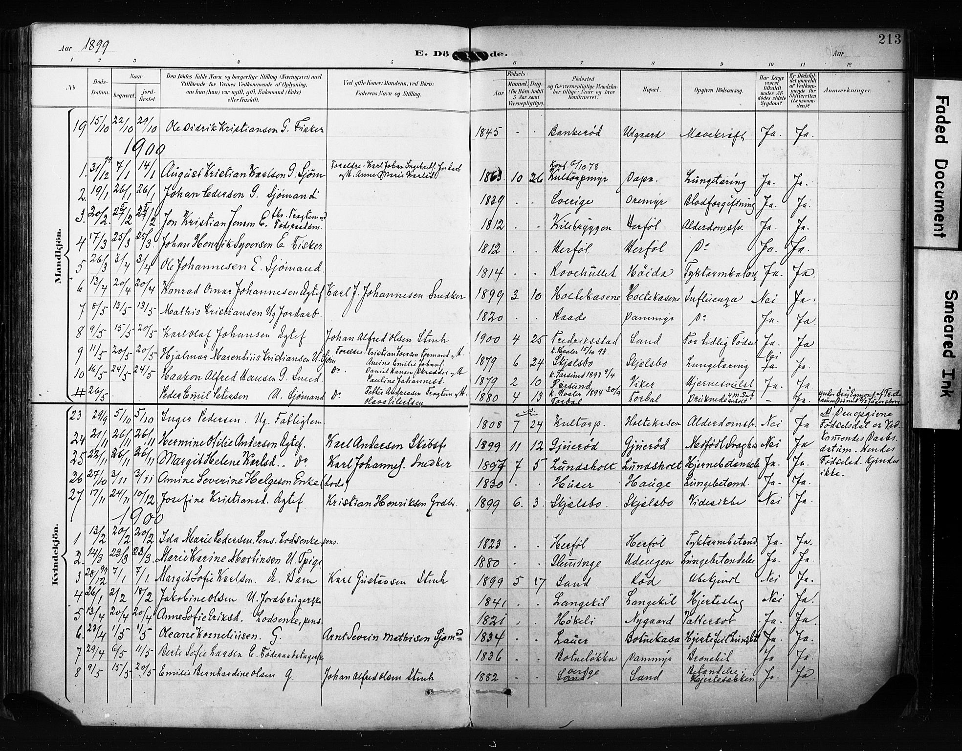 Hvaler prestekontor Kirkebøker, SAO/A-2001/F/Fa/L0009: Parish register (official) no. I 9, 1895-1906, p. 213