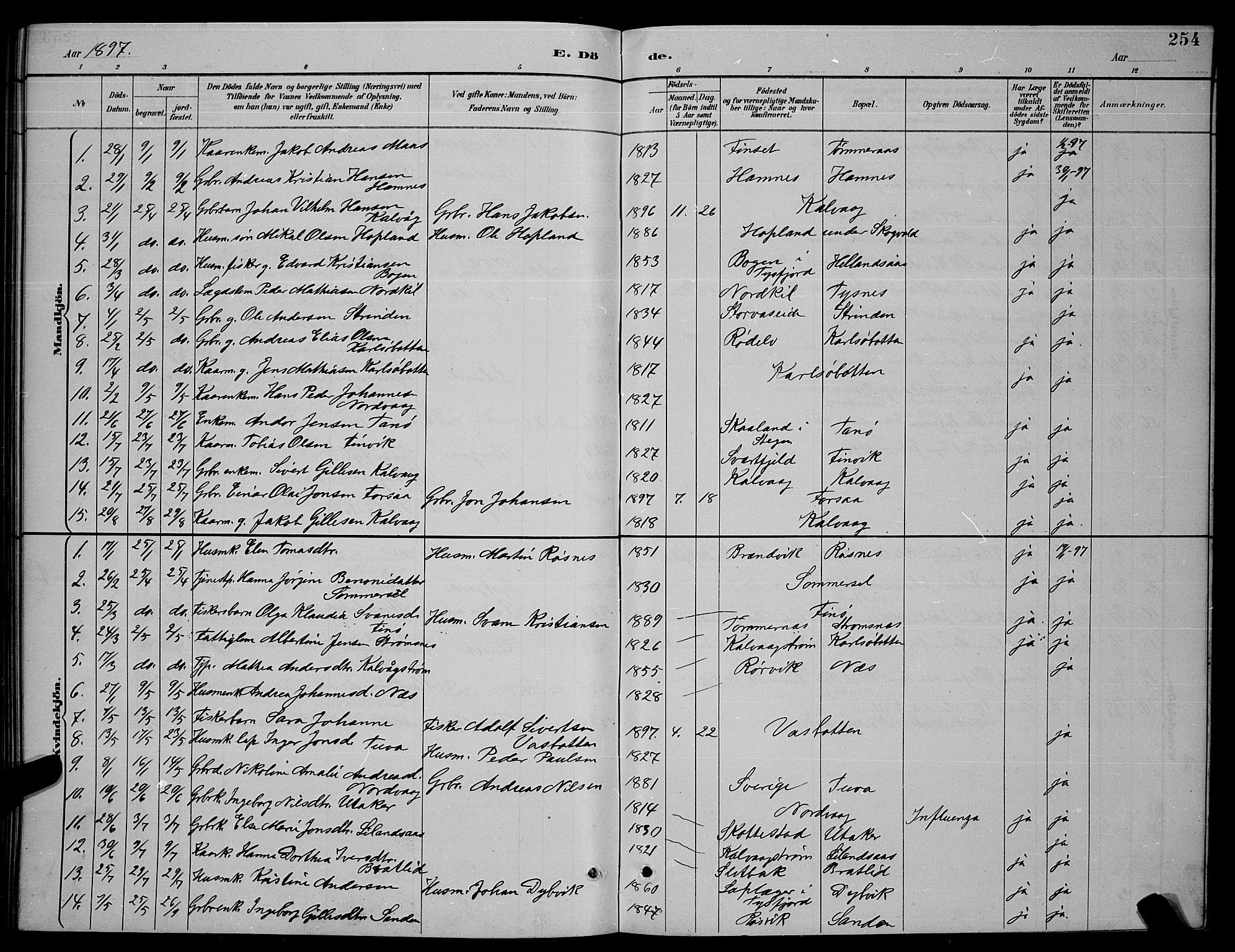 Ministerialprotokoller, klokkerbøker og fødselsregistre - Nordland, SAT/A-1459/859/L0859: Parish register (copy) no. 859C05, 1887-1898, p. 254