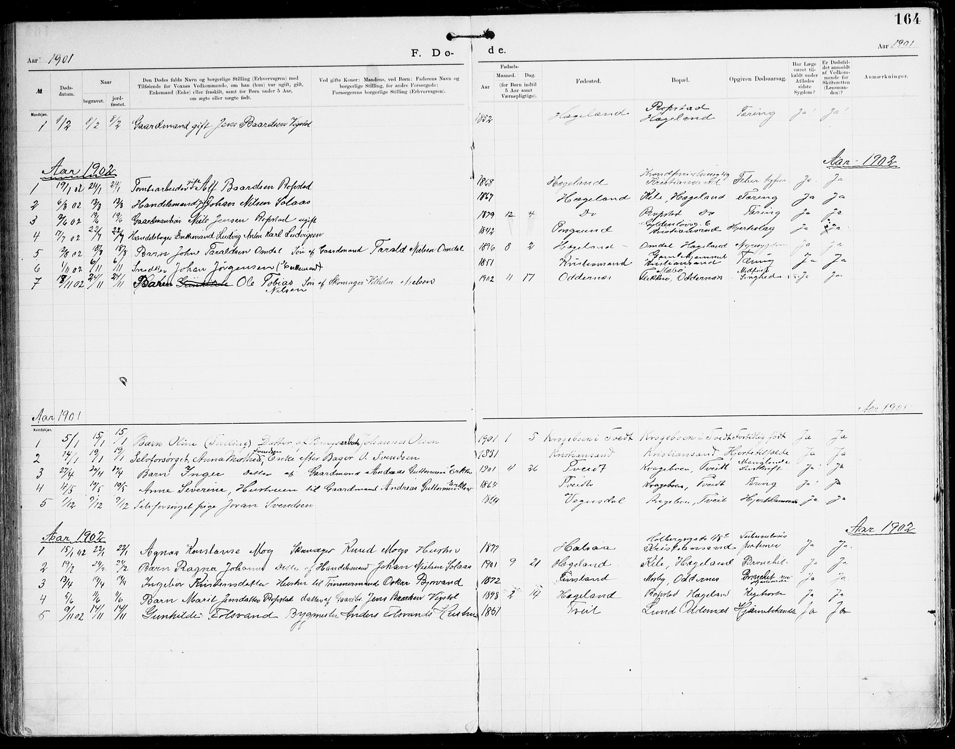 Den evangelisk-lutherske frikirke, Kristiansand, AV/SAK-1292-0017/F/Fa/L0003: Dissenter register no. F 11, 1892-1925, p. 164