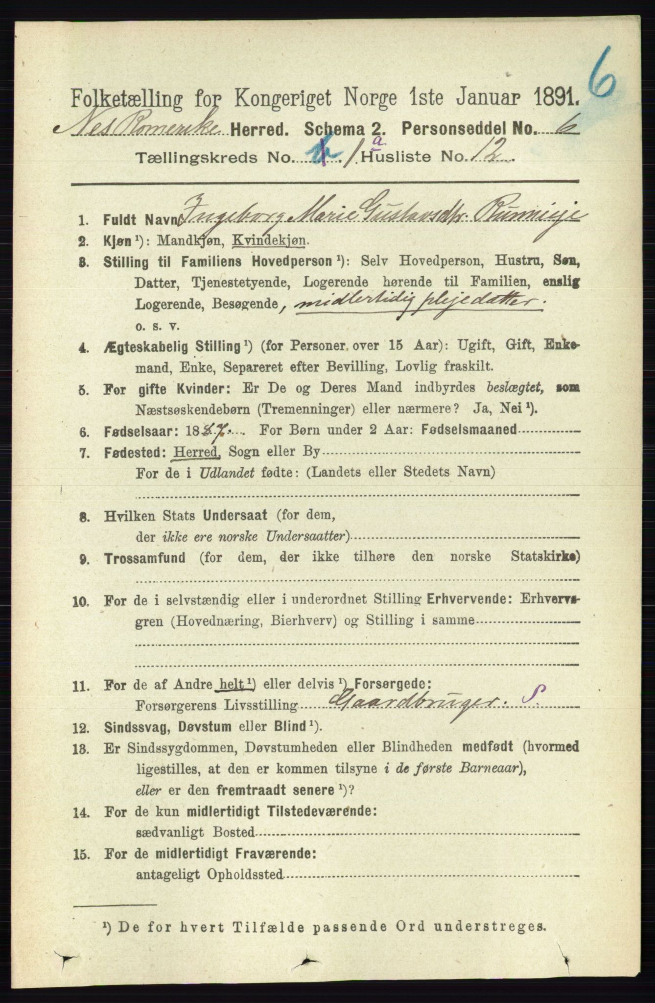 RA, 1891 census for 0236 Nes, 1891, p. 185