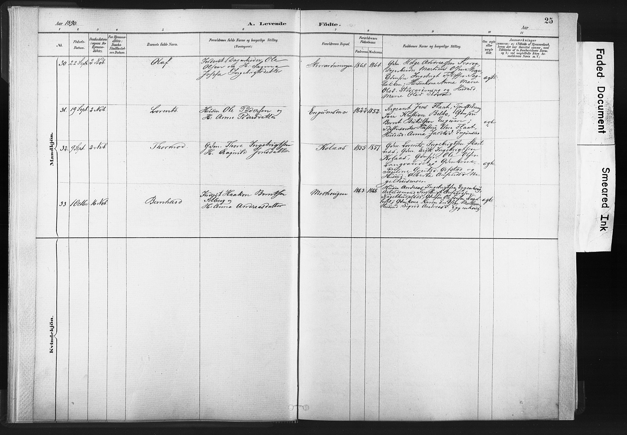 Ministerialprotokoller, klokkerbøker og fødselsregistre - Nord-Trøndelag, SAT/A-1458/749/L0474: Parish register (official) no. 749A08, 1887-1903, p. 25