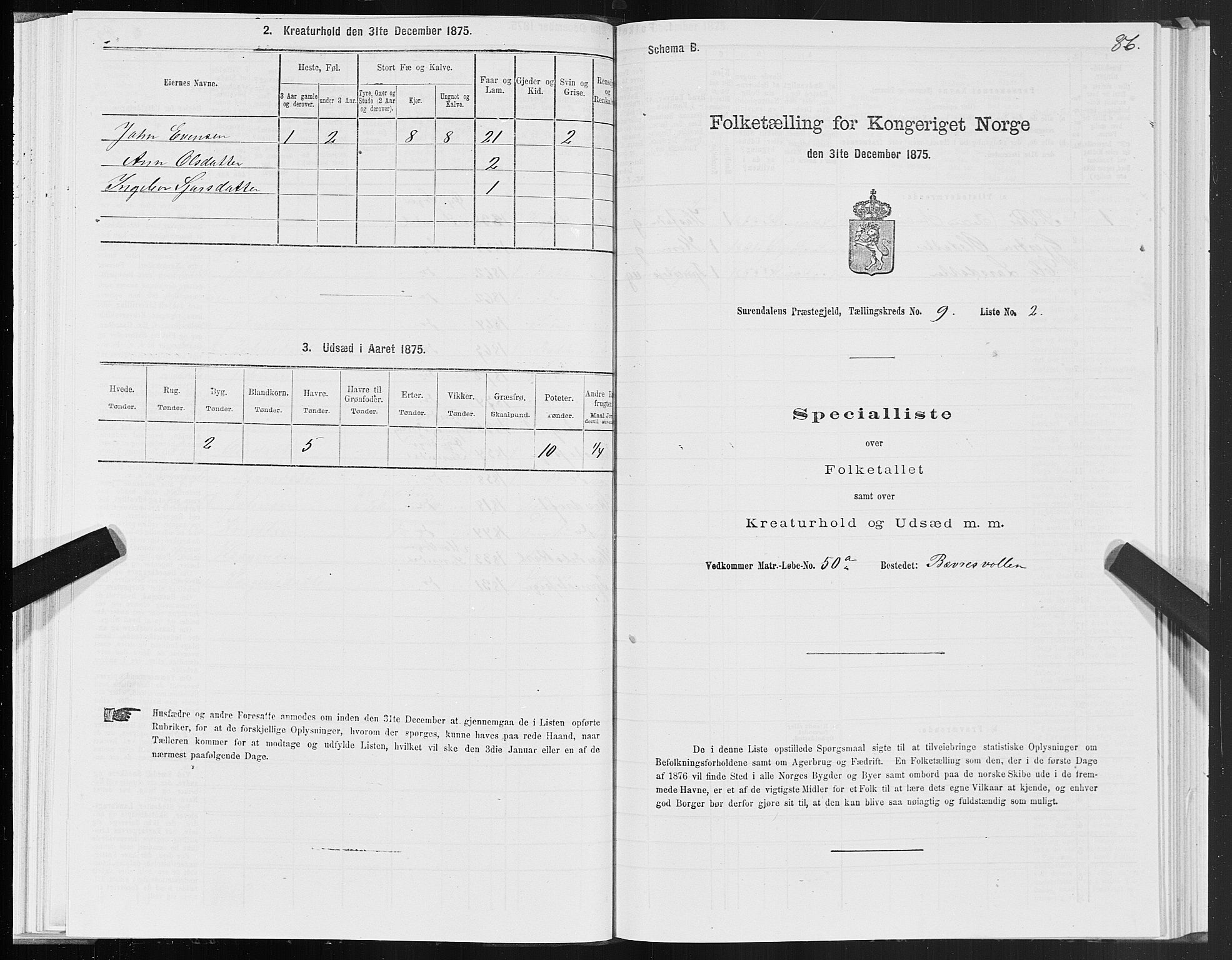 SAT, 1875 census for 1566P Surnadal, 1875, p. 4086