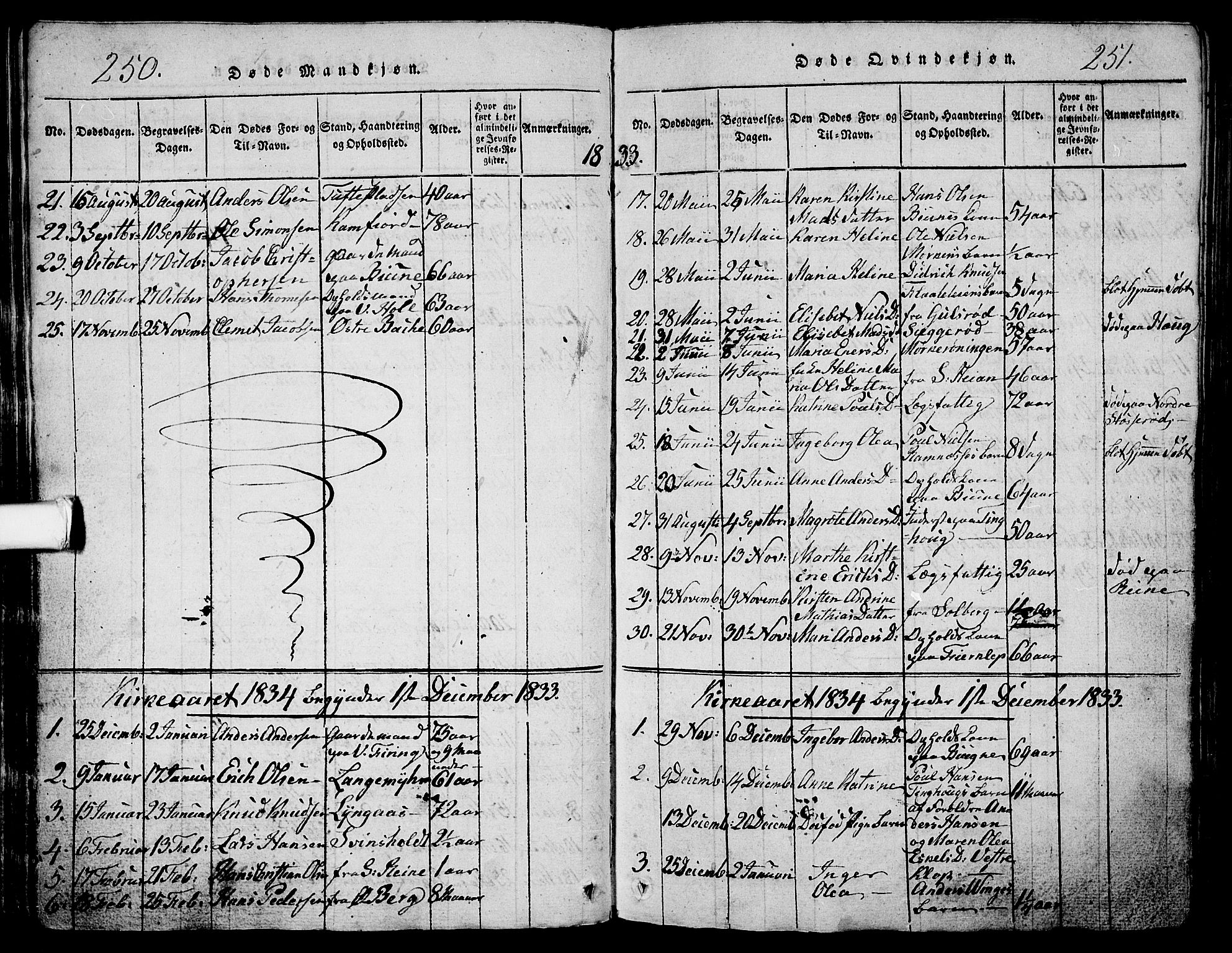 Ramnes kirkebøker, AV/SAKO-A-314/G/Ga/L0001: Parish register (copy) no. I 1, 1813-1847, p. 250-251