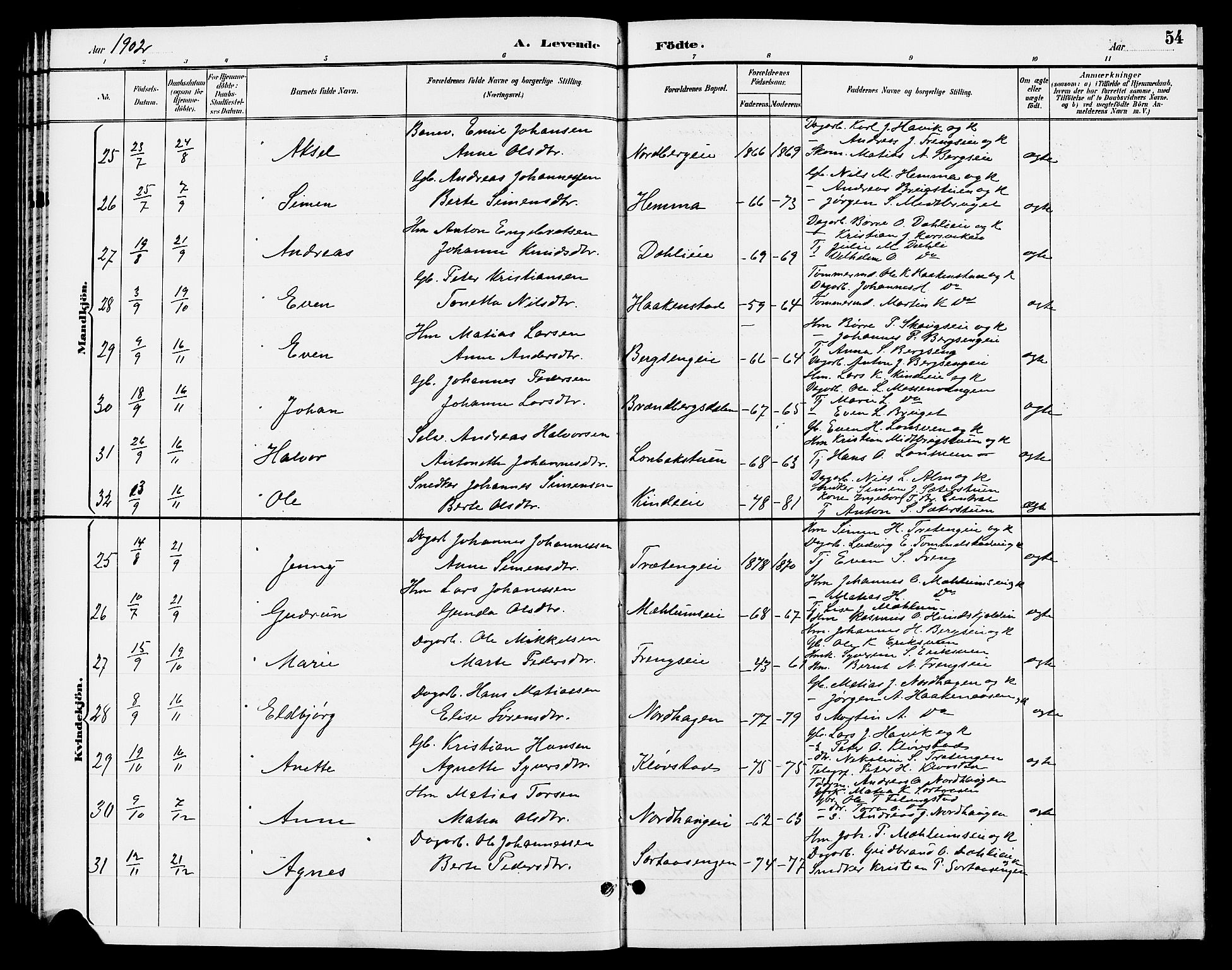 Ringsaker prestekontor, SAH/PREST-014/L/La/L0013: Parish register (copy) no. 13, 1891-1904, p. 54