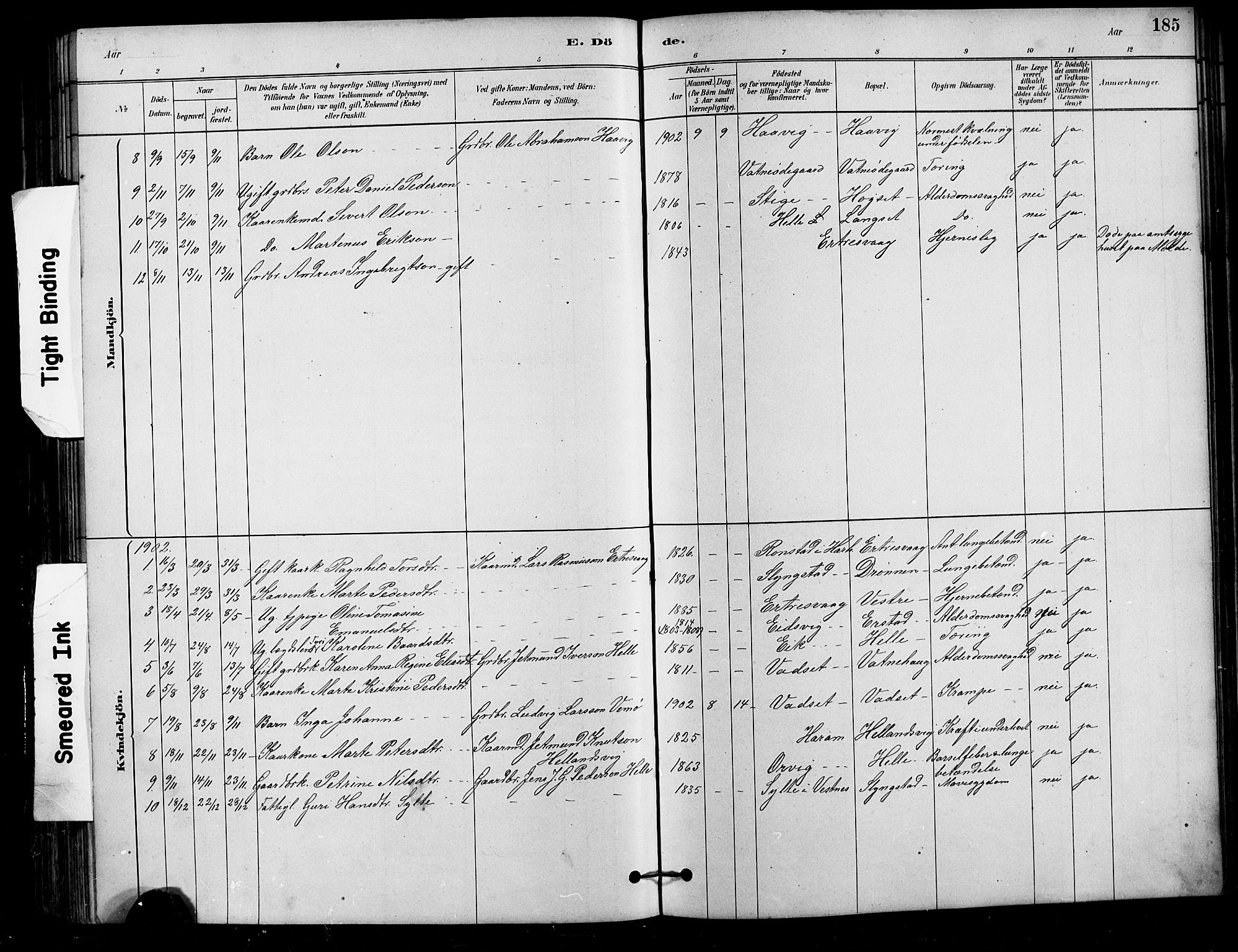 Ministerialprotokoller, klokkerbøker og fødselsregistre - Møre og Romsdal, AV/SAT-A-1454/525/L0376: Parish register (copy) no. 525C02, 1880-1902, p. 185