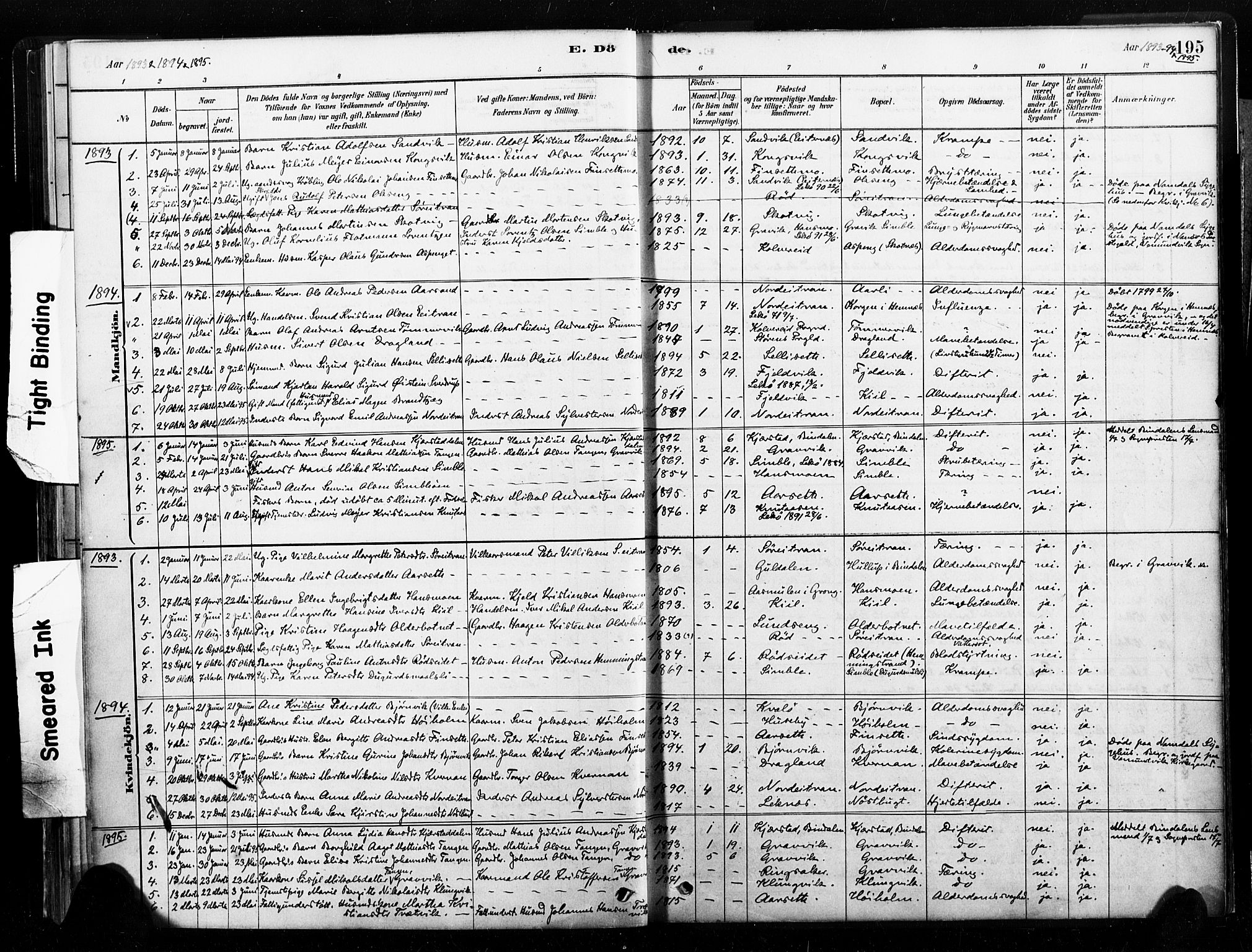 Ministerialprotokoller, klokkerbøker og fødselsregistre - Nord-Trøndelag, SAT/A-1458/789/L0705: Parish register (official) no. 789A01, 1878-1910, p. 195