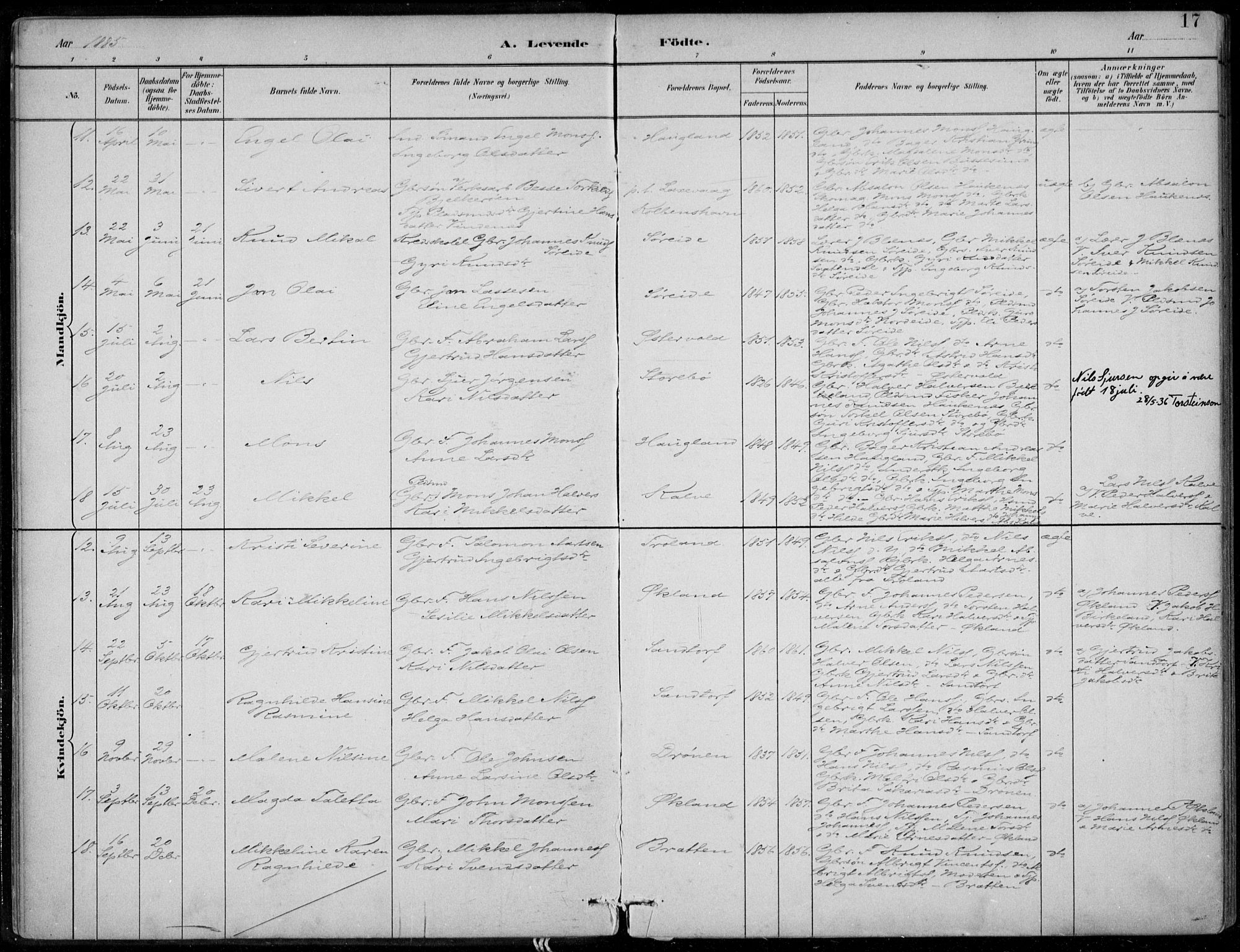 Sund sokneprestembete, SAB/A-99930: Parish register (official) no. C  1, 1882-1899, p. 17