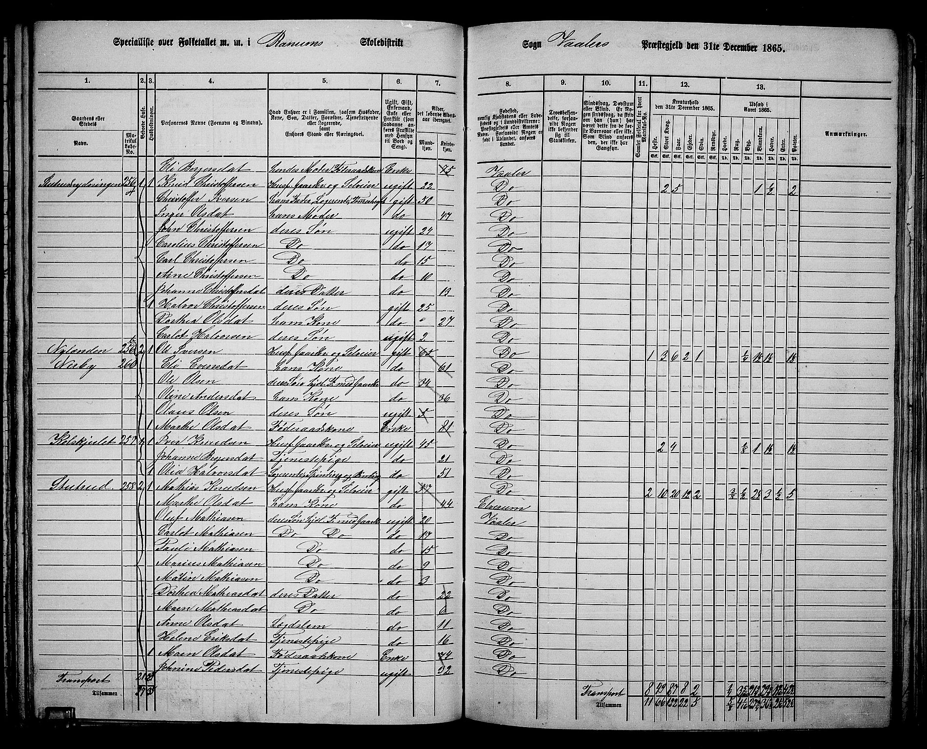 RA, 1865 census for Våler, 1865, p. 116