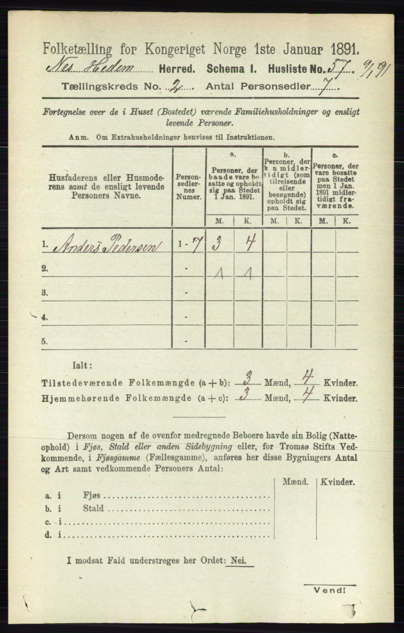 RA, 1891 census for 0411 Nes, 1891, p. 1062