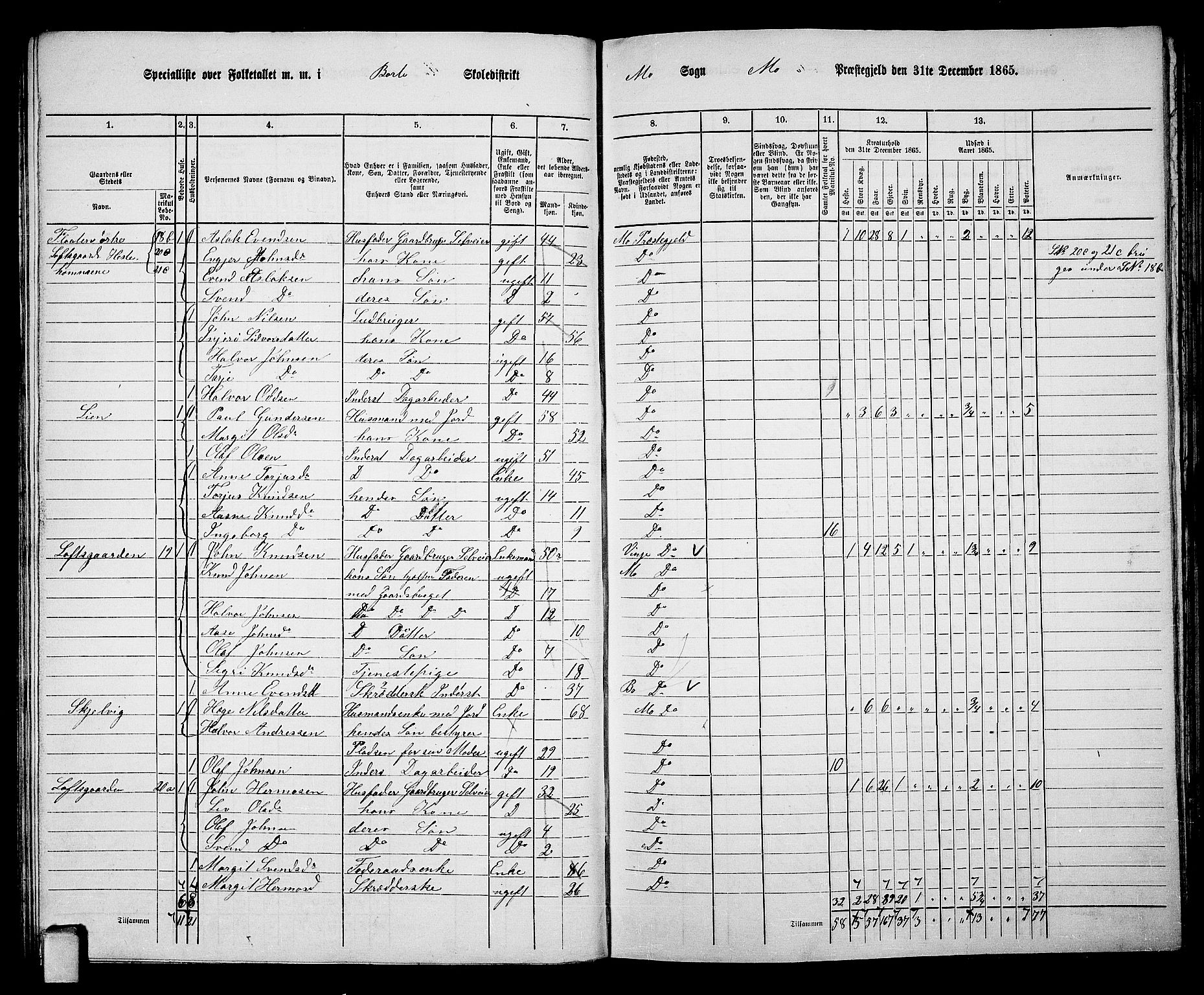 RA, 1865 census for Mo, 1865, p. 41