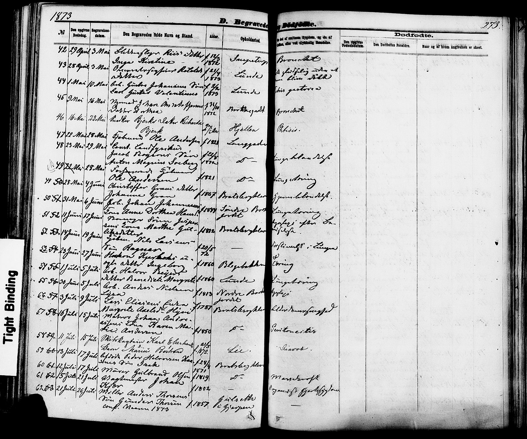 Skien kirkebøker, SAKO/A-302/F/Fa/L0008: Parish register (official) no. 8, 1866-1877, p. 273