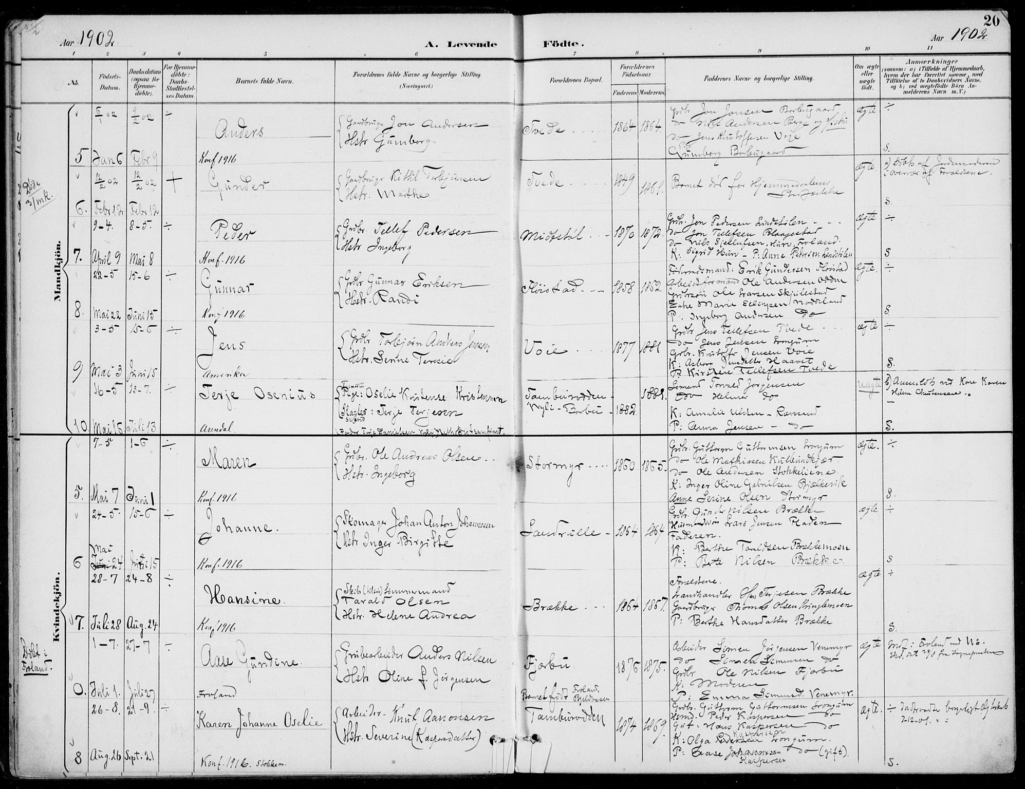 Austre Moland sokneprestkontor, AV/SAK-1111-0001/F/Fa/Faa/L0011: Parish register (official) no. A 11, 1894-1915, p. 20