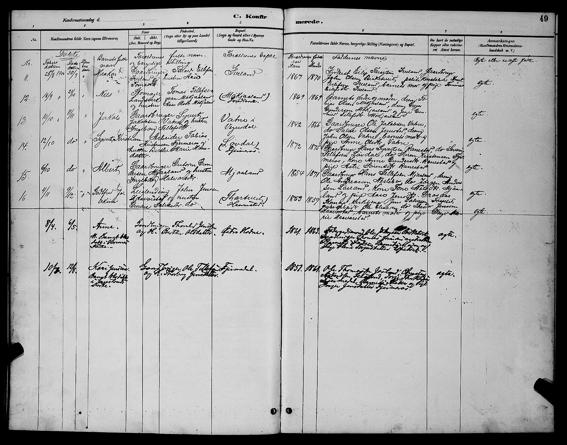 Evje sokneprestkontor, AV/SAK-1111-0008/F/Fb/Fbc/L0004: Parish register (copy) no. B 4, 1890-1900, p. 49