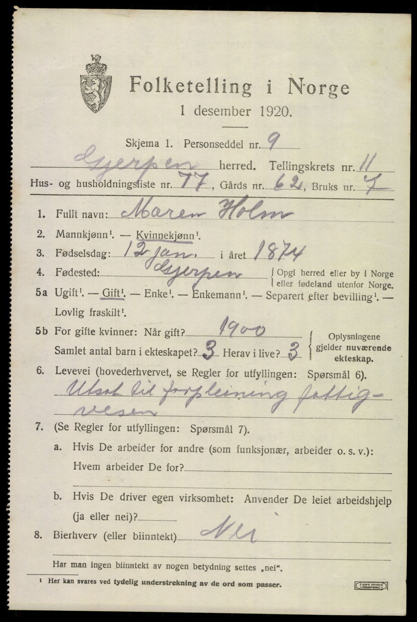 SAKO, 1920 census for Gjerpen, 1920, p. 13216