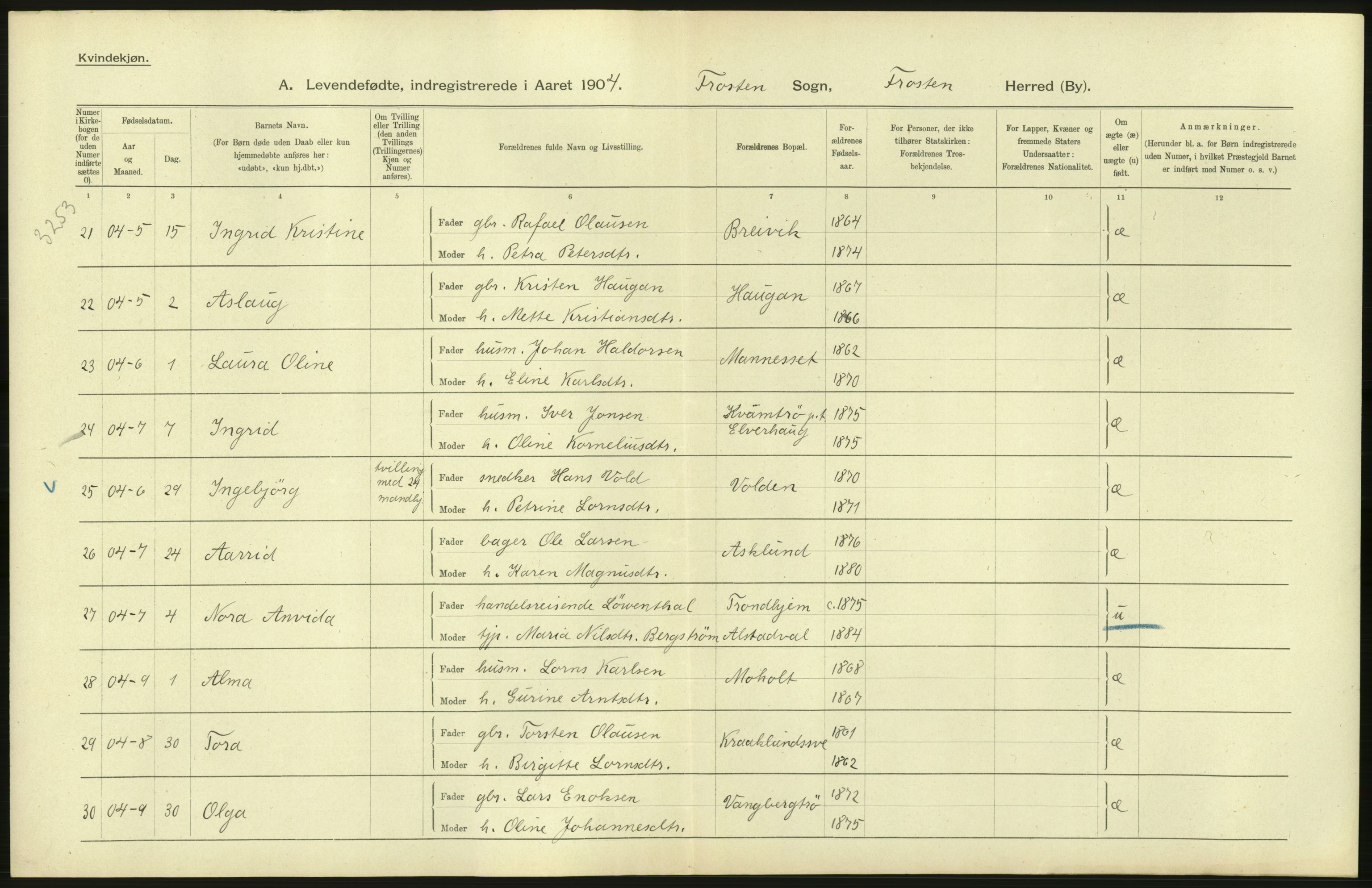 Statistisk sentralbyrå, Sosiodemografiske emner, Befolkning, AV/RA-S-2228/D/Df/Dfa/Dfab/L0019: Nordre Trondhjems amt: Fødte, gifte, døde, 1904, p. 104