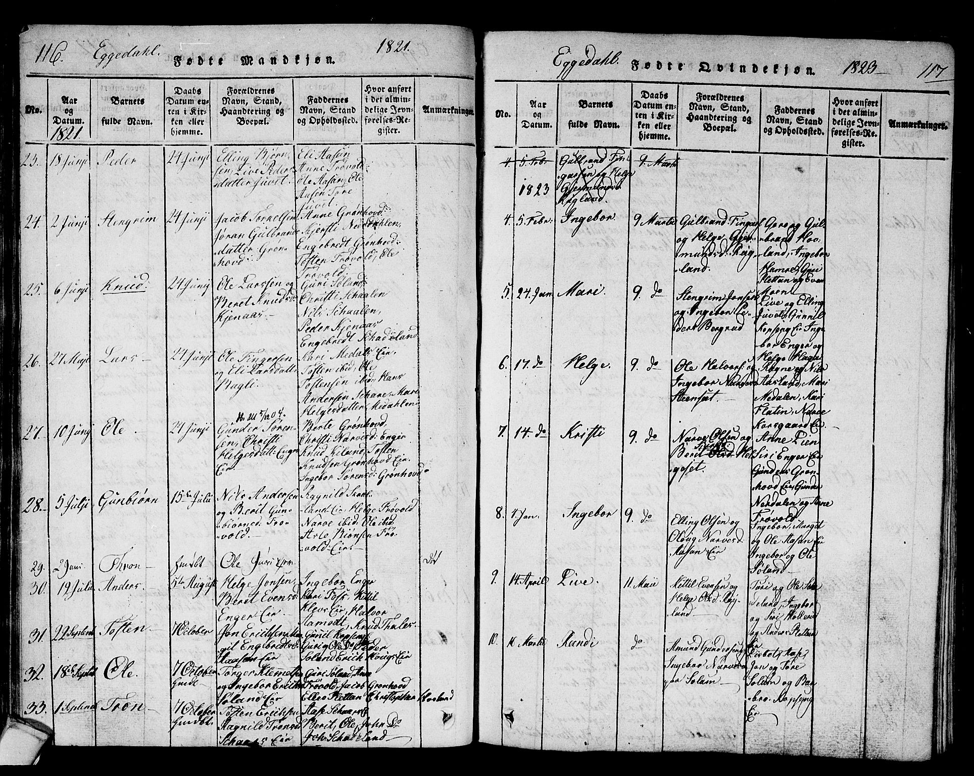 Sigdal kirkebøker, AV/SAKO-A-245/F/Fa/L0005: Parish register (official) no. I 5 /2, 1815-1829, p. 116-117