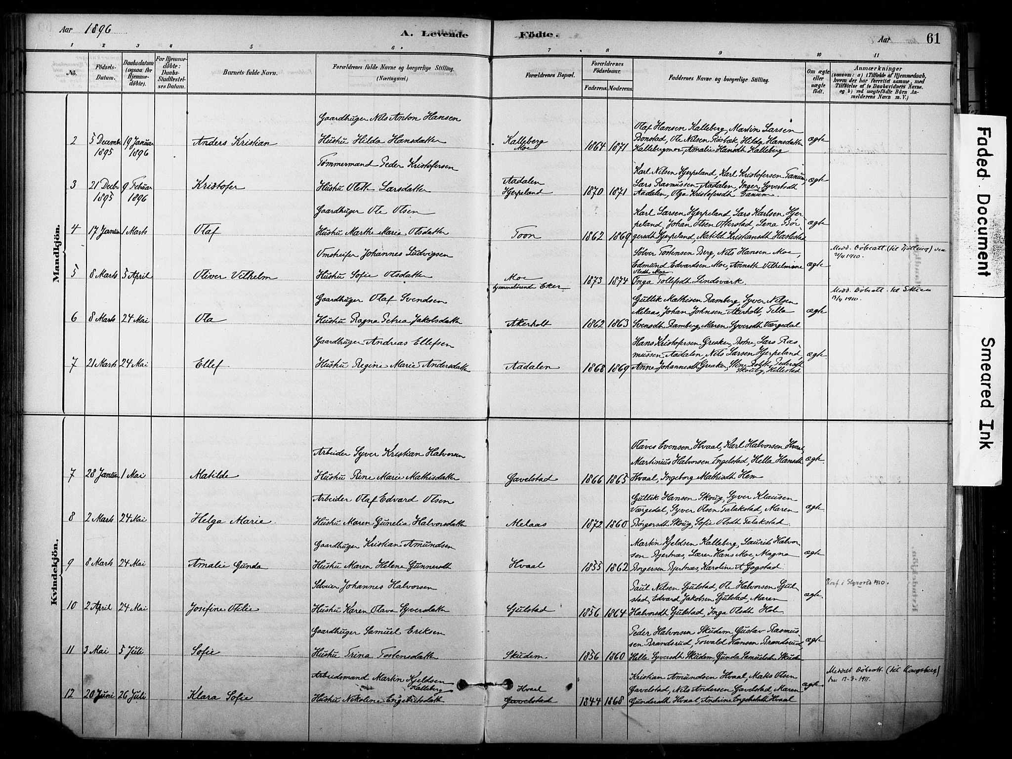 Lardal kirkebøker, AV/SAKO-A-350/F/Fb/L0001: Parish register (official) no. II 1, 1881-1911, p. 61