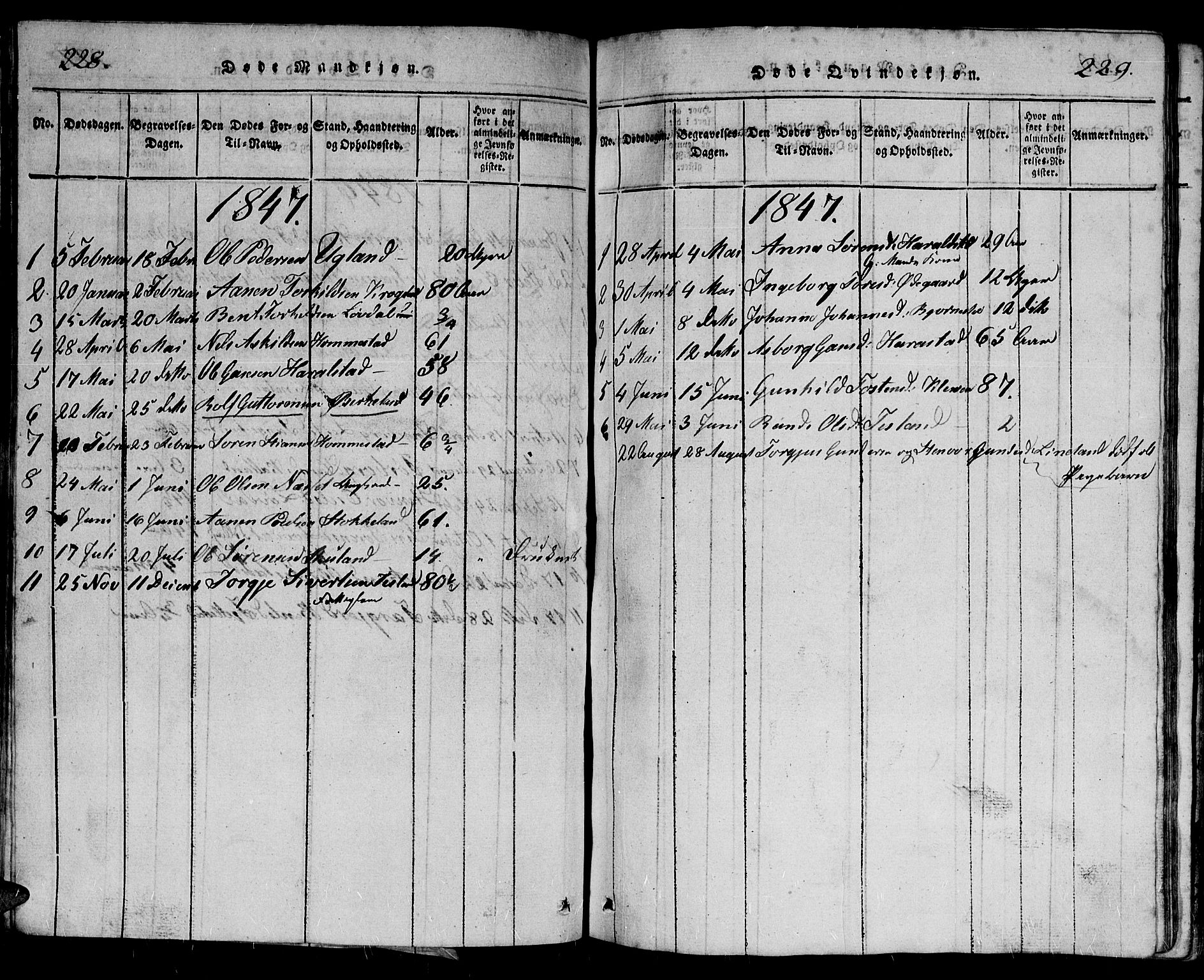 Holum sokneprestkontor, AV/SAK-1111-0022/F/Fb/Fbb/L0001: Parish register (copy) no. B 1, 1820-1847, p. 228-229