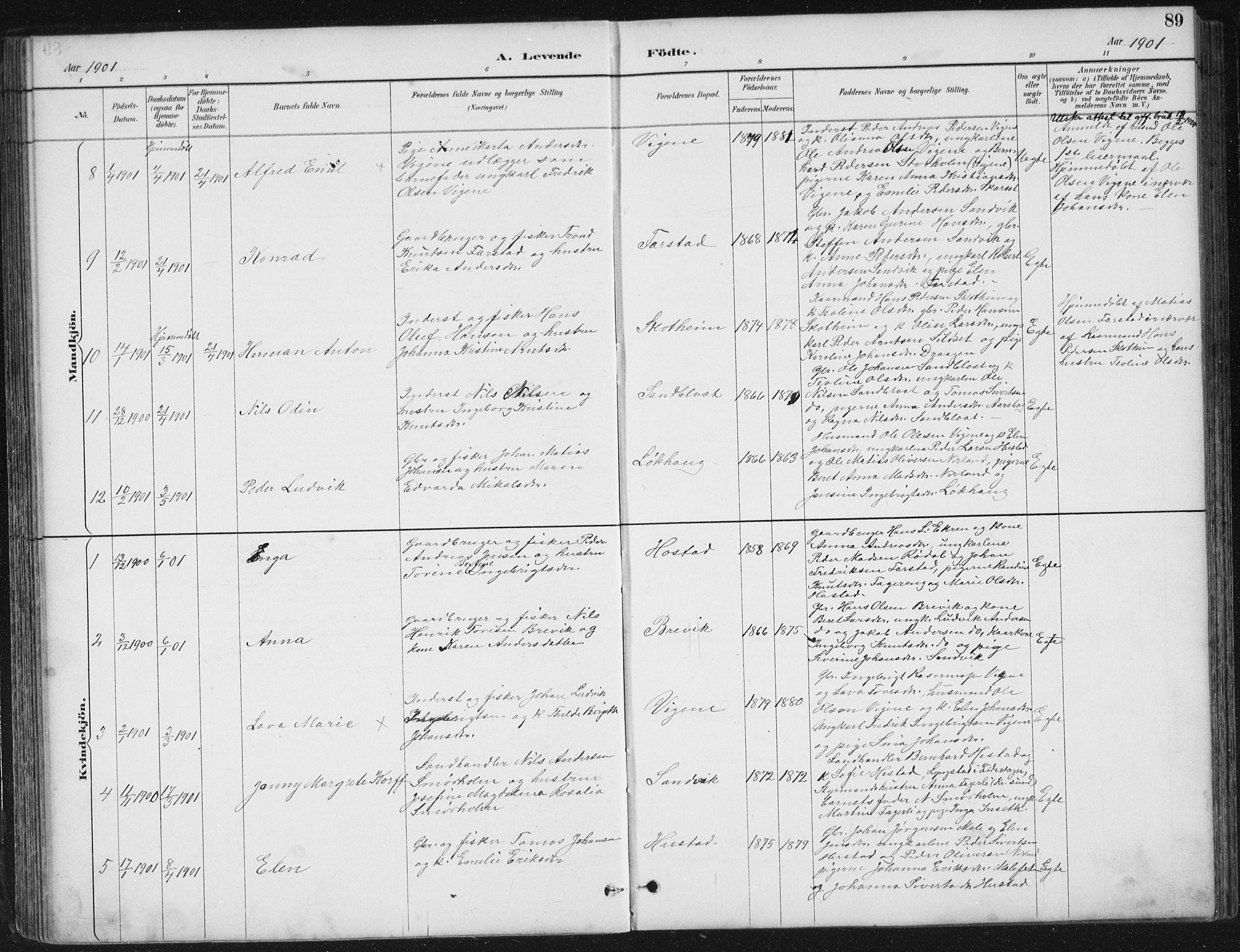 Ministerialprotokoller, klokkerbøker og fødselsregistre - Møre og Romsdal, AV/SAT-A-1454/567/L0783: Parish register (copy) no. 567C03, 1887-1903, p. 89