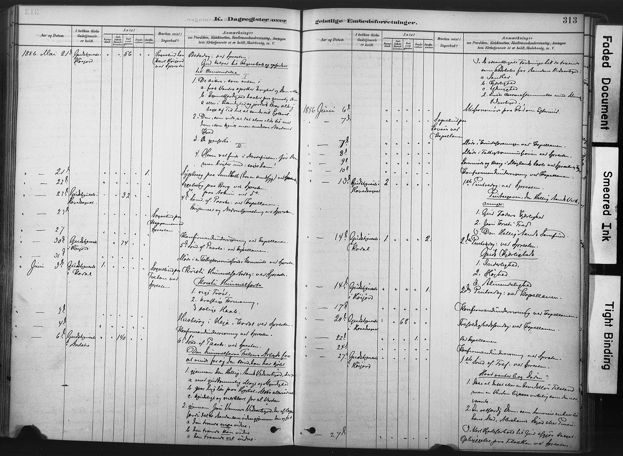 Andebu kirkebøker, AV/SAKO-A-336/F/Fa/L0007: Parish register (official) no. 7, 1878-1899, p. 313