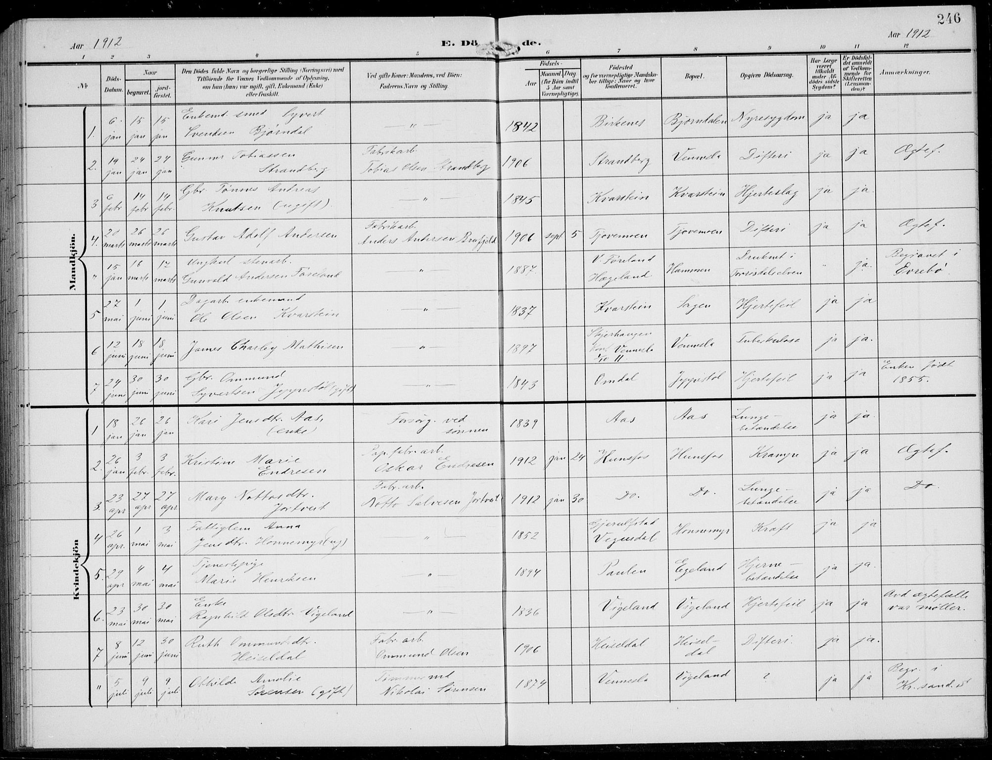 Vennesla sokneprestkontor, SAK/1111-0045/Fb/Fbb/L0005: Parish register (copy) no. B 5, 1903-1913, p. 246