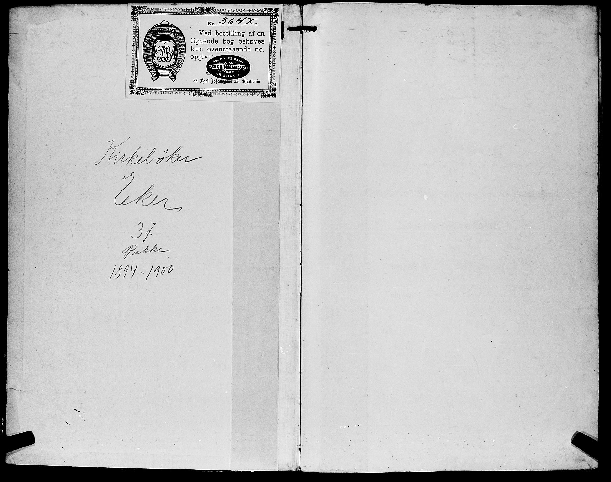 Eiker kirkebøker, AV/SAKO-A-4/G/Gb/L0004: Parish register (copy) no. II 4, 1894-1900