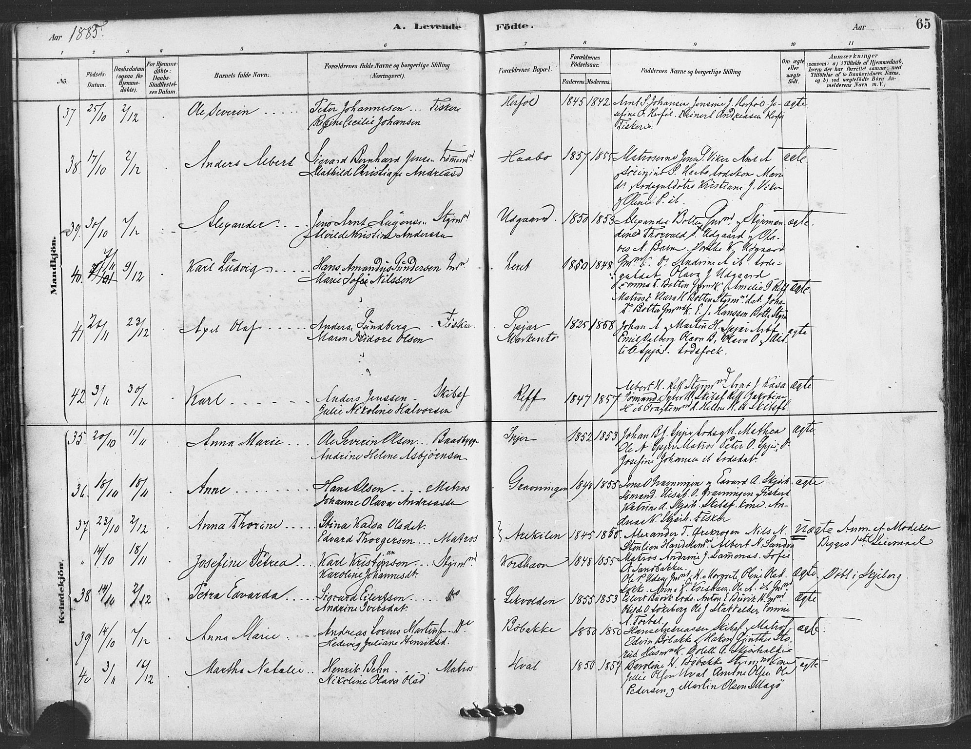 Hvaler prestekontor Kirkebøker, AV/SAO-A-2001/F/Fa/L0008: Parish register (official) no. I 8, 1878-1895, p. 65