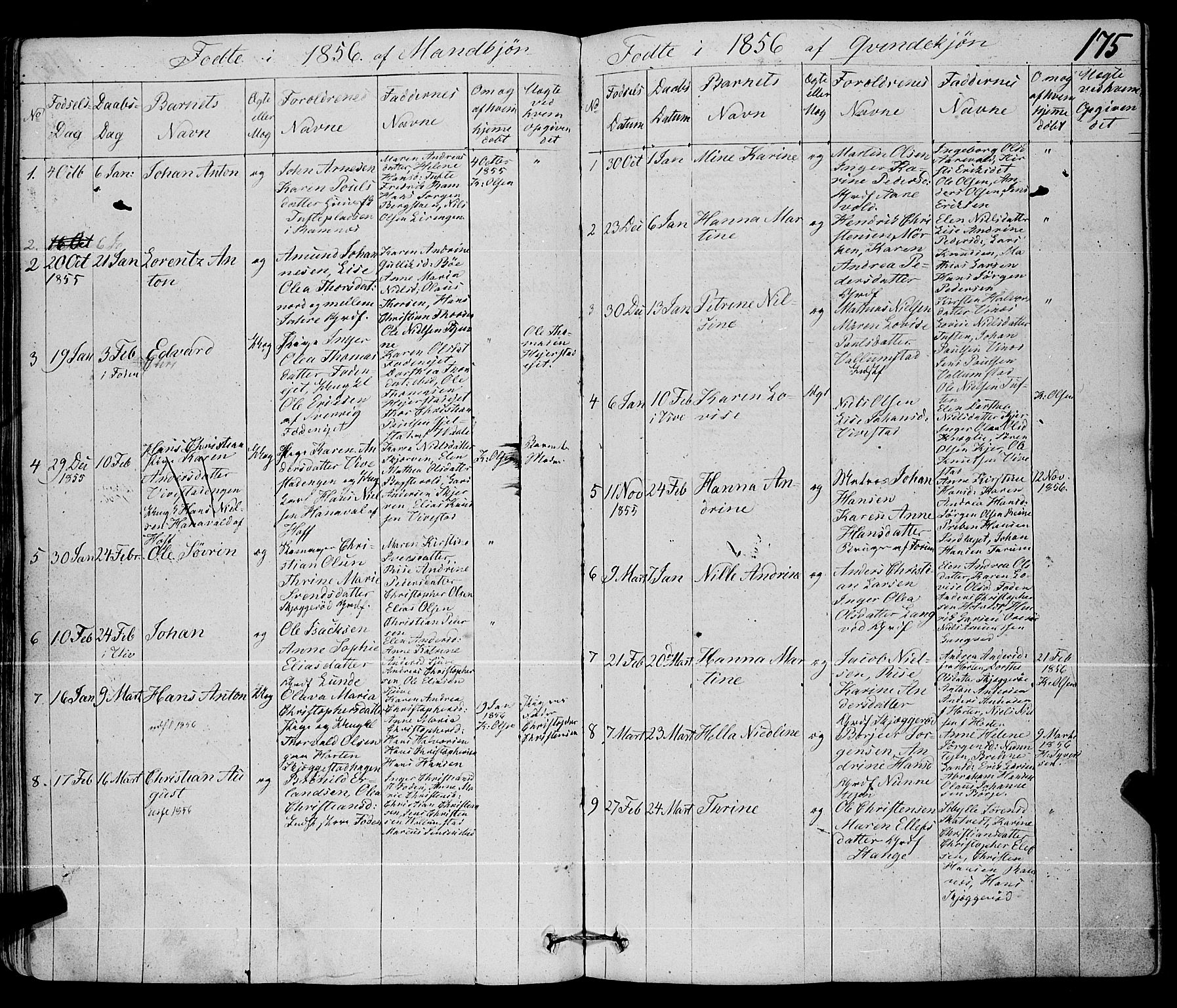 Ramnes kirkebøker, AV/SAKO-A-314/F/Fa/L0005: Parish register (official) no. I 5, 1841-1861, p. 174-175