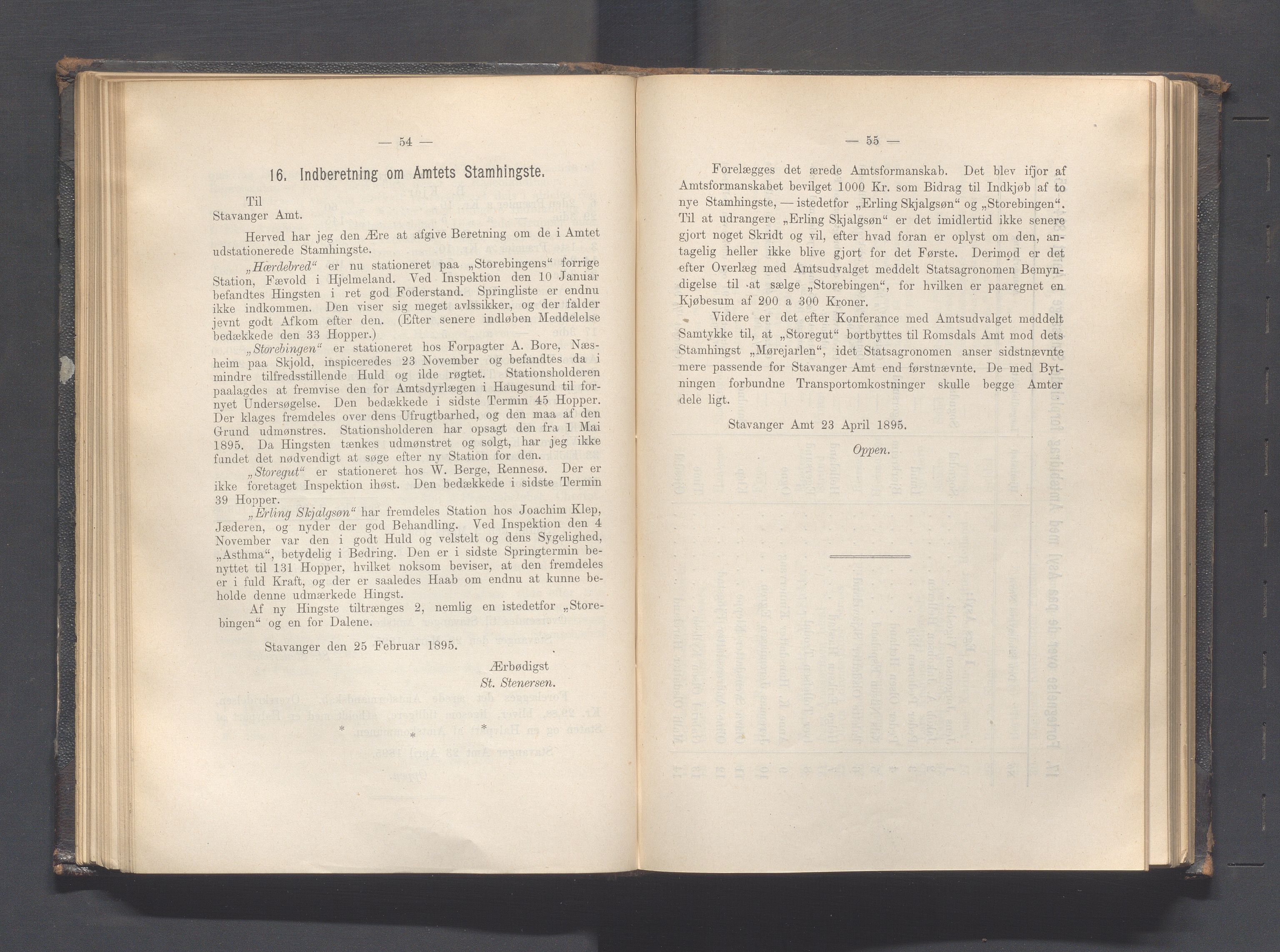 Rogaland fylkeskommune - Fylkesrådmannen , IKAR/A-900/A, 1895, p. 101