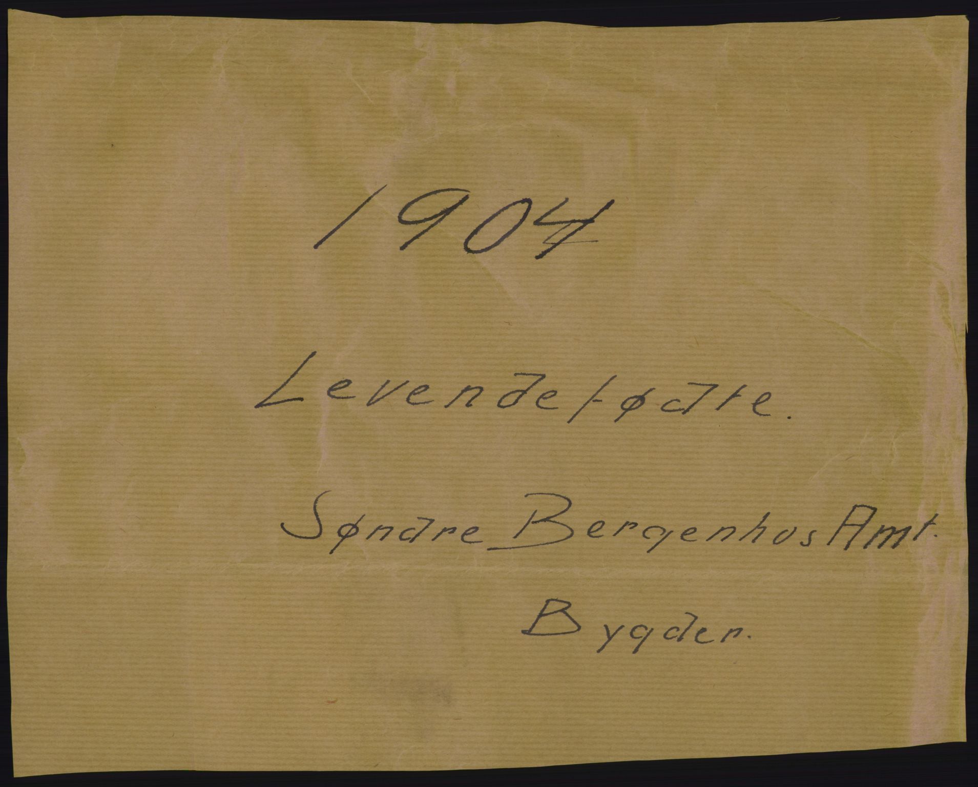 Statistisk sentralbyrå, Sosiodemografiske emner, Befolkning, RA/S-2228/D/Df/Dfa/Dfab/L0013: Søndre Bergenhus amt: Fødte, gifte, døde. Bygder, 1904, p. 1
