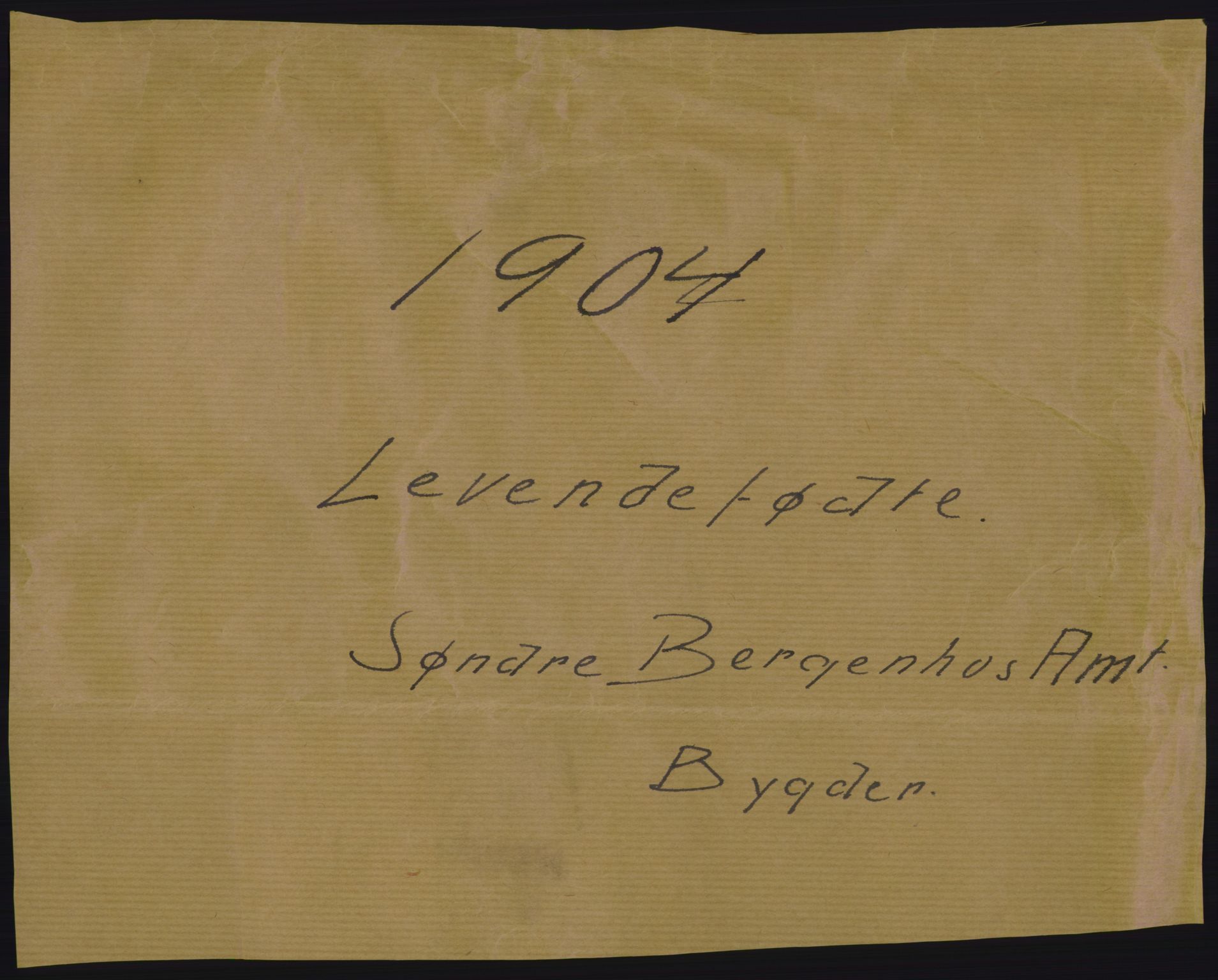 Statistisk sentralbyrå, Sosiodemografiske emner, Befolkning, AV/RA-S-2228/D/Df/Dfa/Dfab/L0013: Søndre Bergenhus amt: Fødte, gifte, døde. Bygder, 1904, p. 1