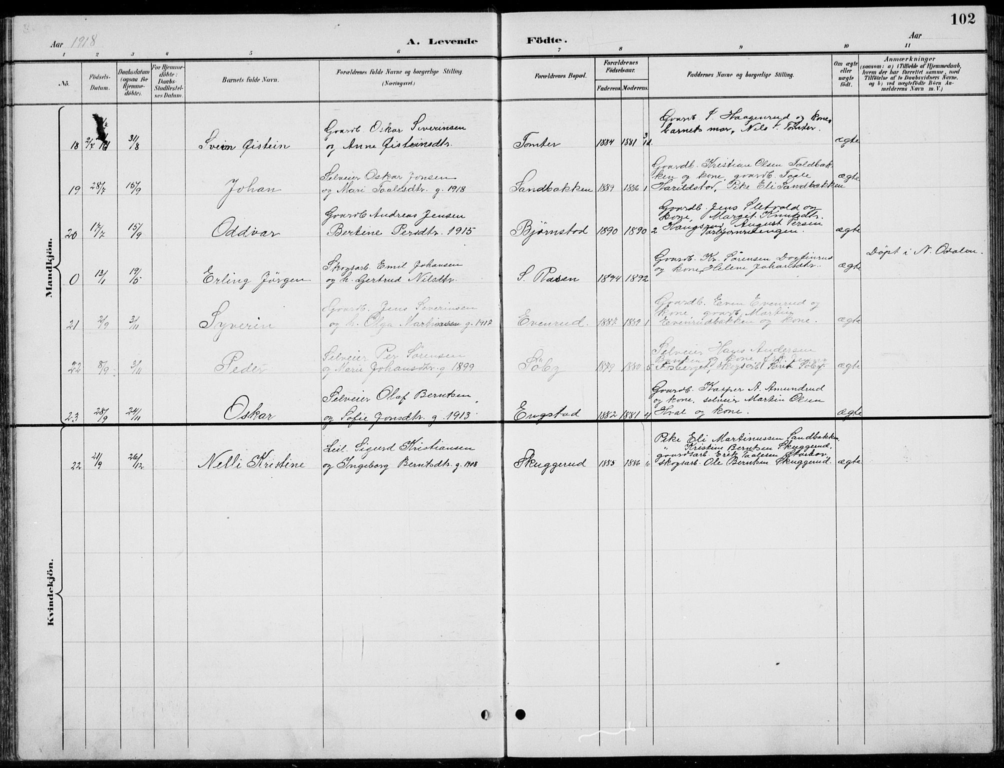 Romedal prestekontor, AV/SAH-PREST-004/L/L0013: Parish register (copy) no. 13, 1896-1937, p. 102