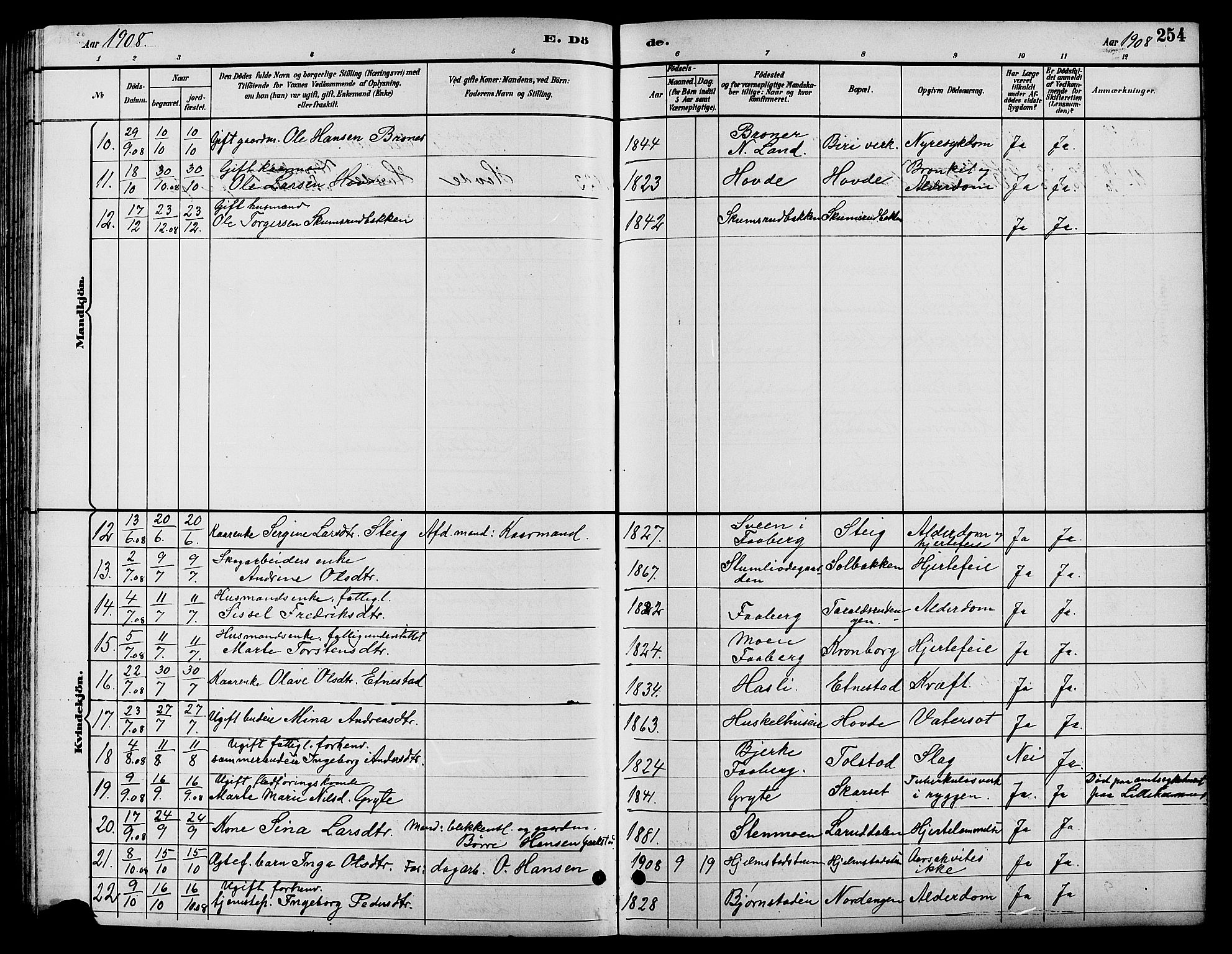 Biri prestekontor, SAH/PREST-096/H/Ha/Hab/L0004: Parish register (copy) no. 4, 1892-1909, p. 254