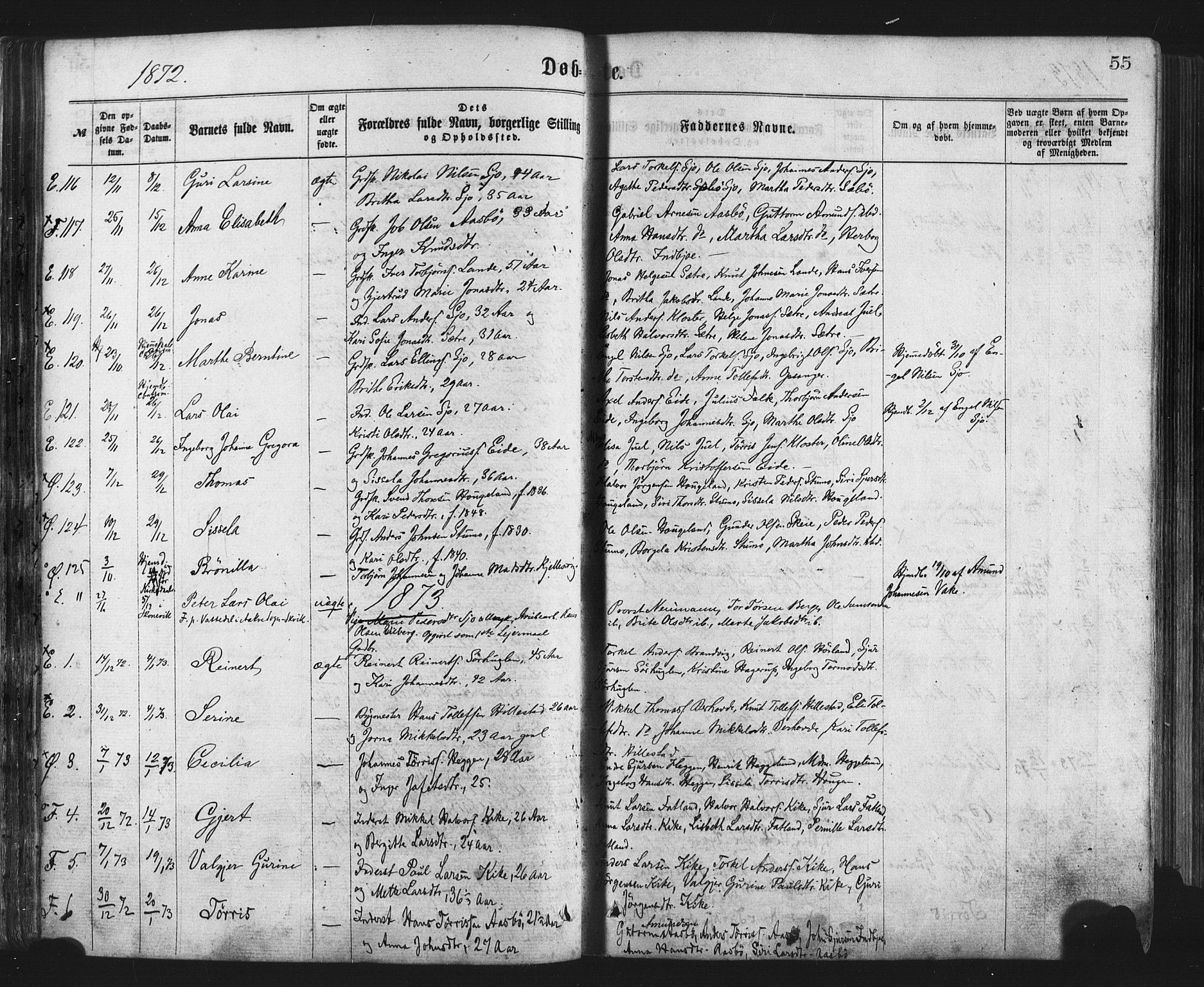 Fjelberg sokneprestembete, AV/SAB-A-75201/H/Haa: Parish register (official) no. A 8, 1866-1879, p. 55
