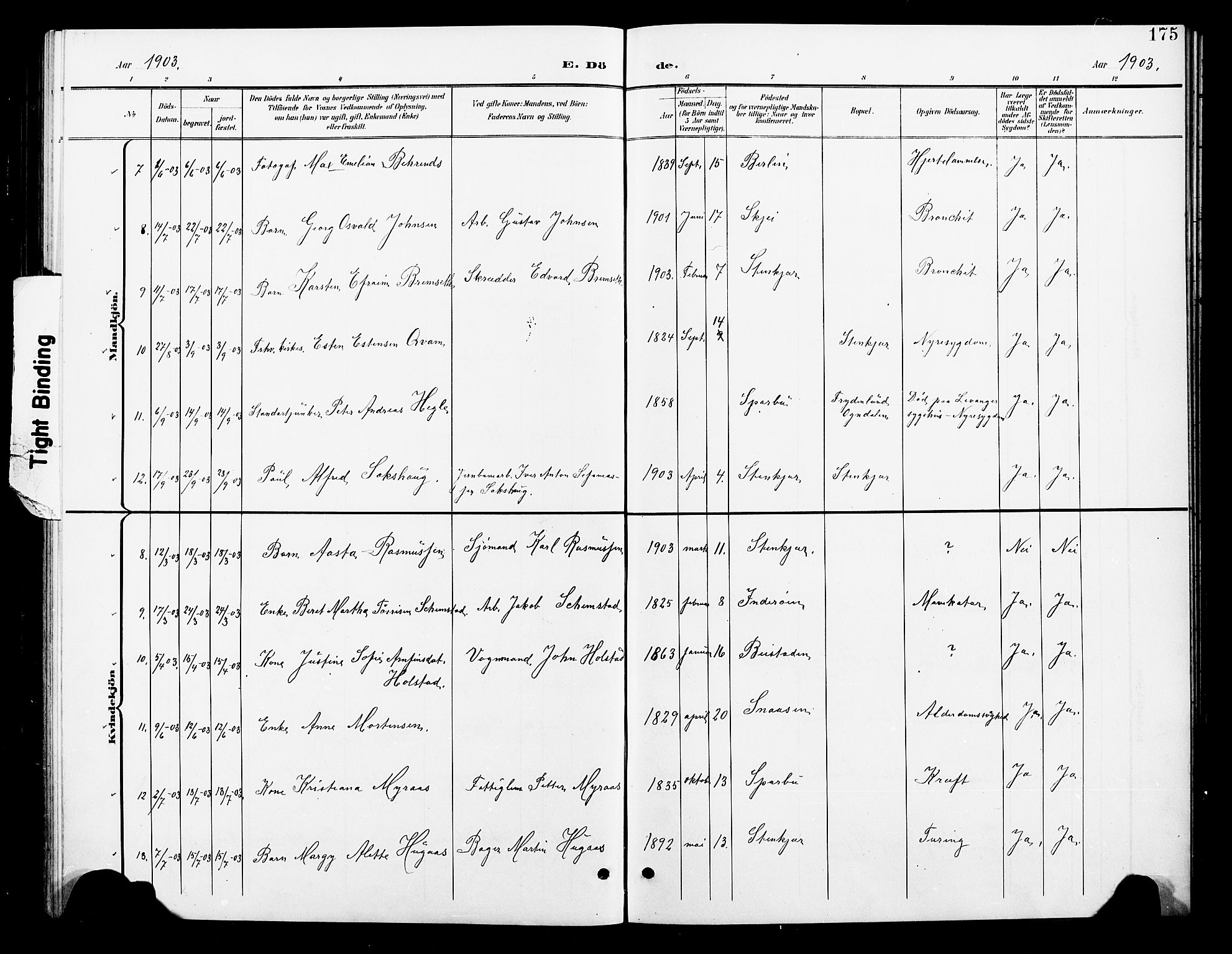 Ministerialprotokoller, klokkerbøker og fødselsregistre - Nord-Trøndelag, SAT/A-1458/739/L0375: Parish register (copy) no. 739C03, 1898-1908, p. 175