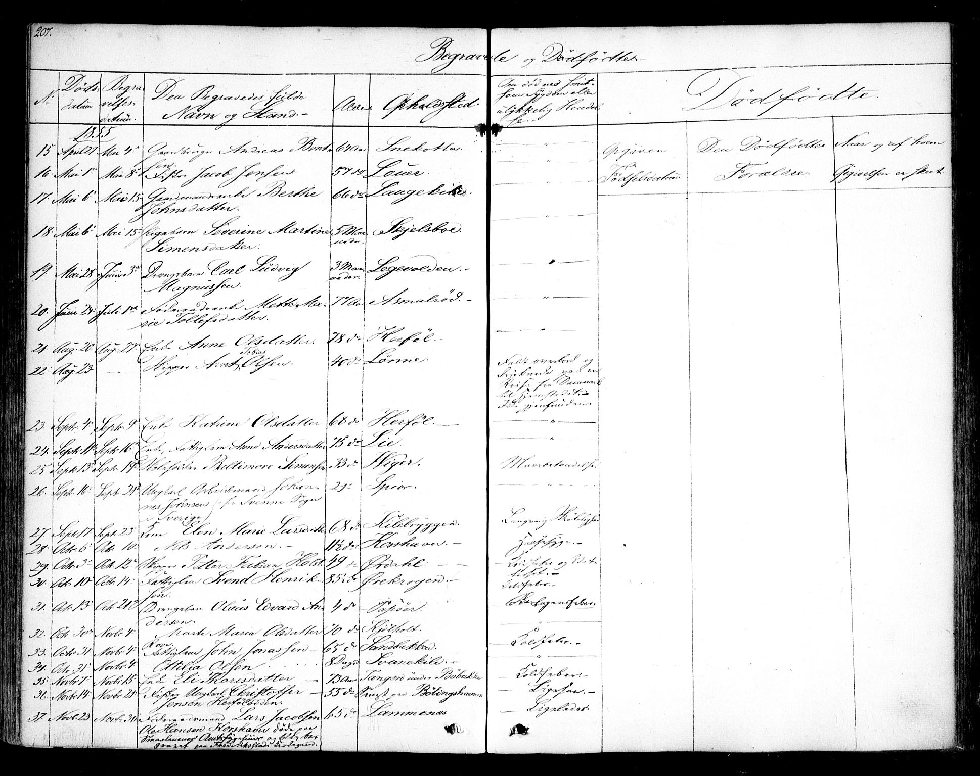 Hvaler prestekontor Kirkebøker, SAO/A-2001/F/Fa/L0006: Parish register (official) no. I 6, 1846-1863, p. 207