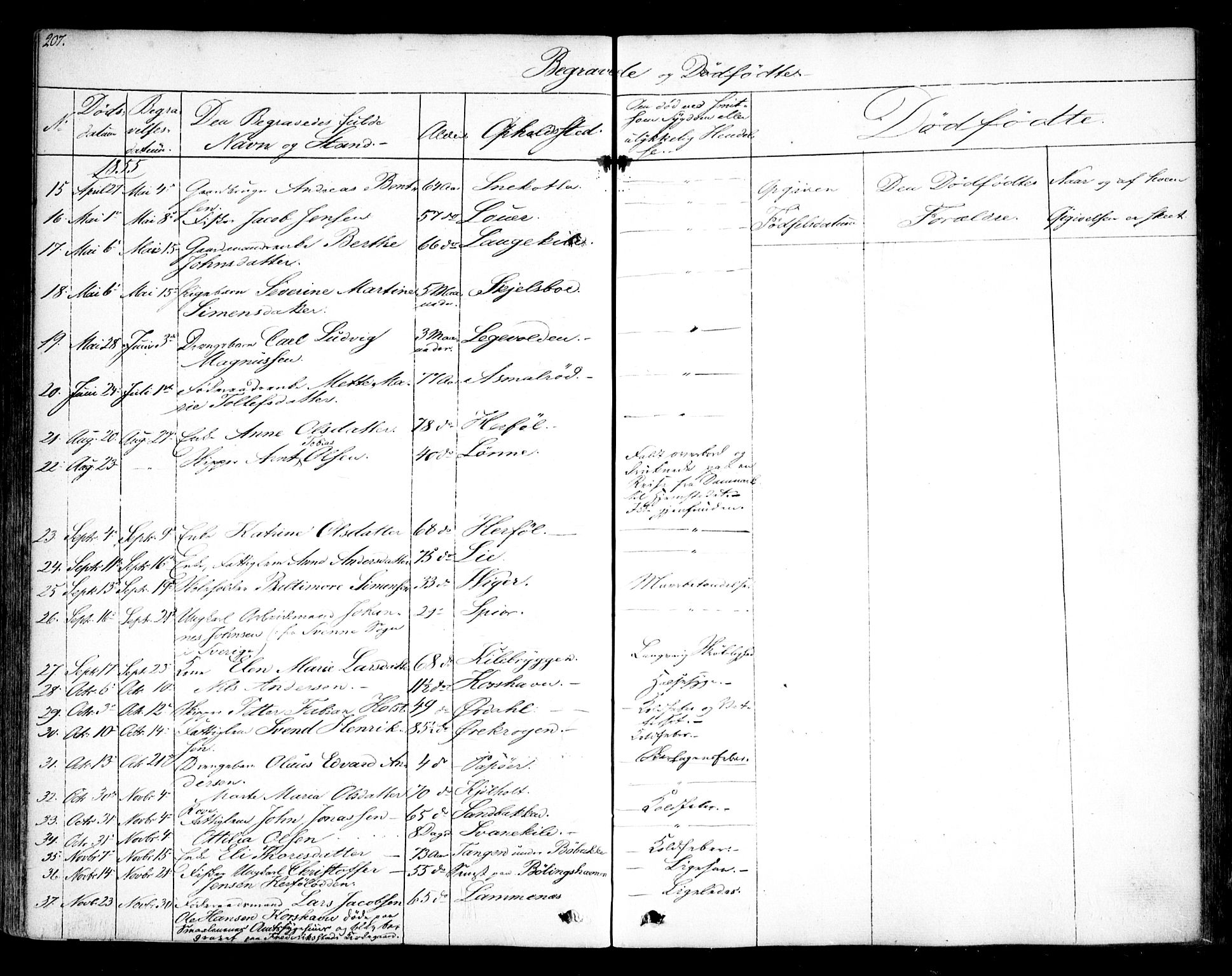 Hvaler prestekontor Kirkebøker, AV/SAO-A-2001/F/Fa/L0006: Parish register (official) no. I 6, 1846-1863, p. 207