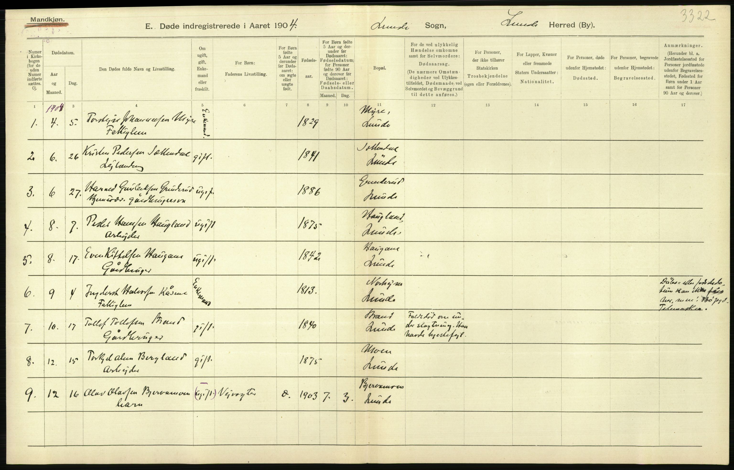 Statistisk sentralbyrå, Sosiodemografiske emner, Befolkning, AV/RA-S-2228/D/Df/Dfa/Dfab/L0009: Bratsberg amt: Fødte, gifte, døde, 1904, p. 748