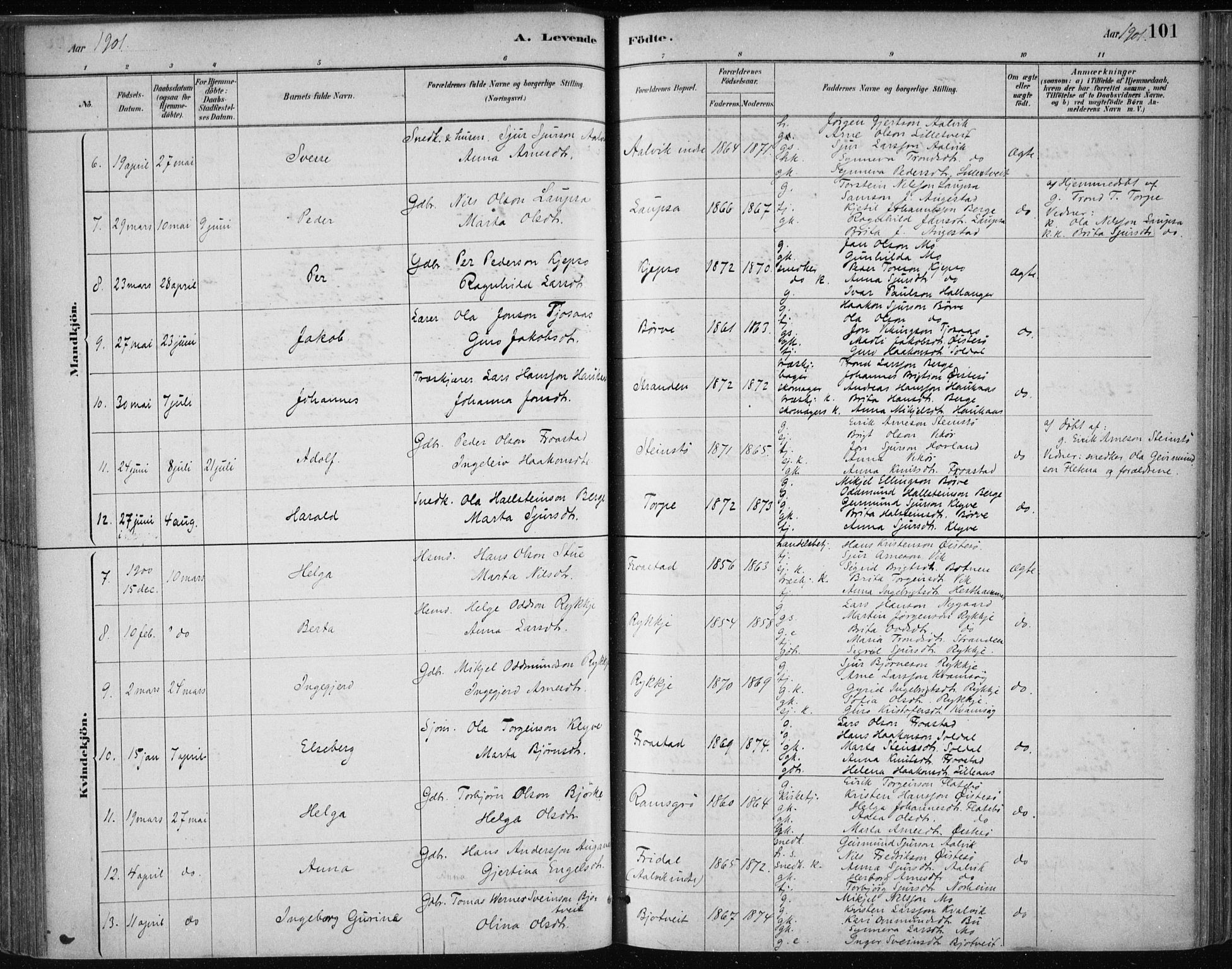 Kvam sokneprestembete, AV/SAB-A-76201/H/Haa: Parish register (official) no. C  1, 1880-1906, p. 101