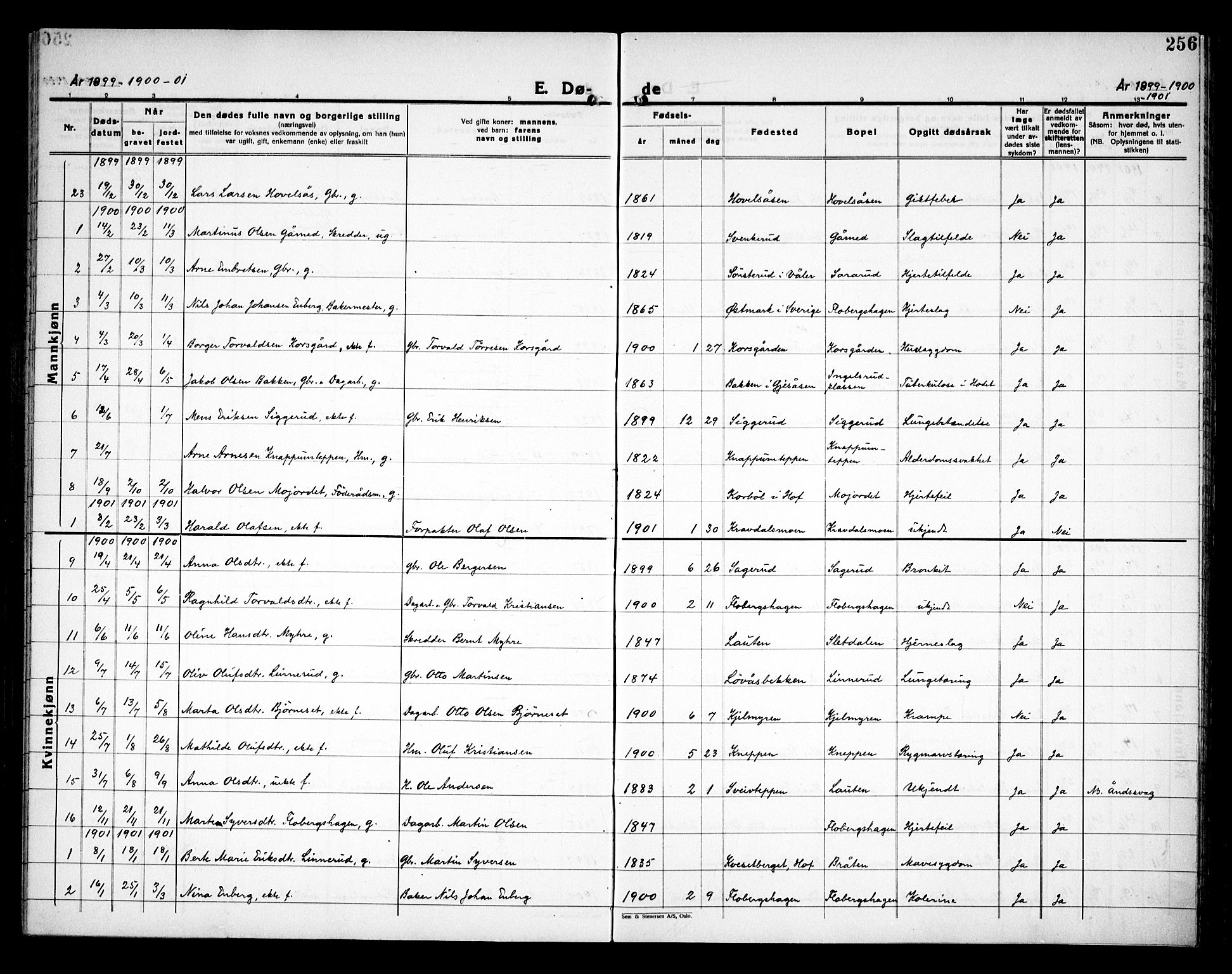 Åsnes prestekontor, SAH/PREST-042/H/Ha/Haa/L0000C: Parish register (official) no. 0A, 1890-1929, p. 256