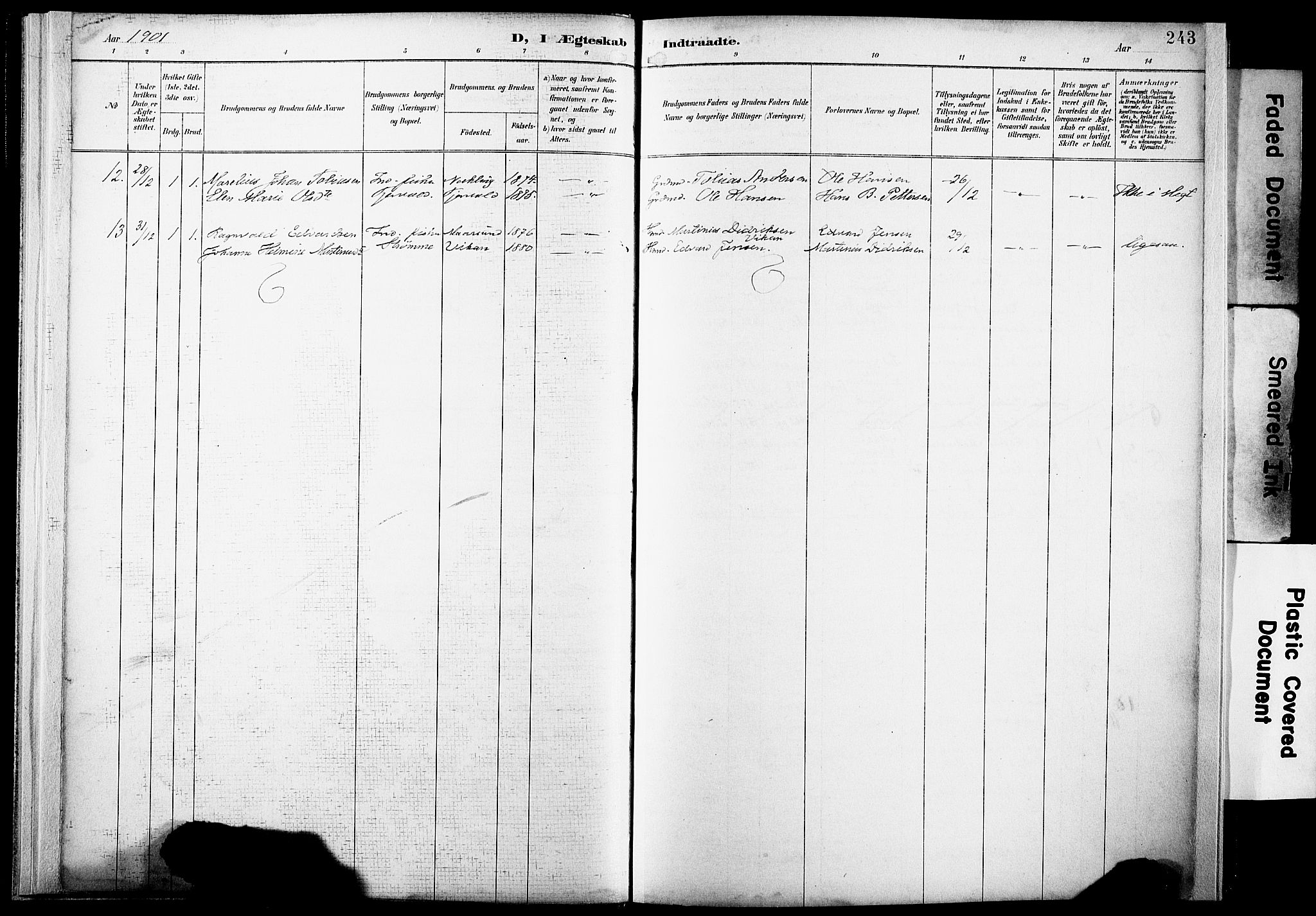 Ministerialprotokoller, klokkerbøker og fødselsregistre - Nordland, AV/SAT-A-1459/891/L1305: Parish register (official) no. 891A10, 1895-1921, p. 243