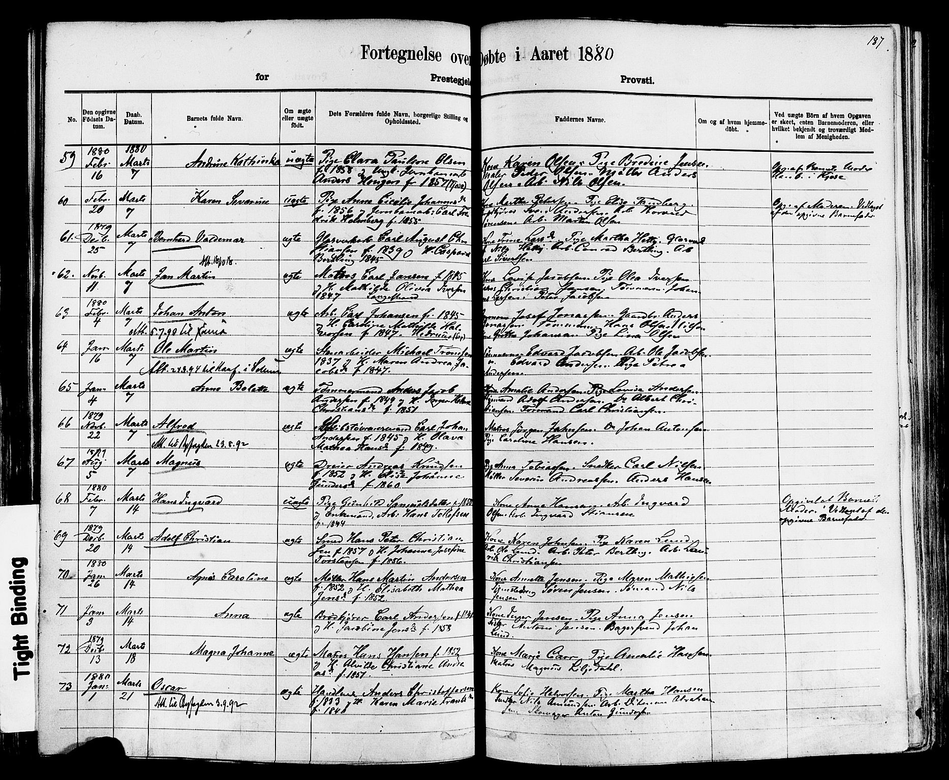 Larvik kirkebøker, AV/SAKO-A-352/F/Fa/L0006: Parish register (official) no. I 6, 1871-1883, p. 187