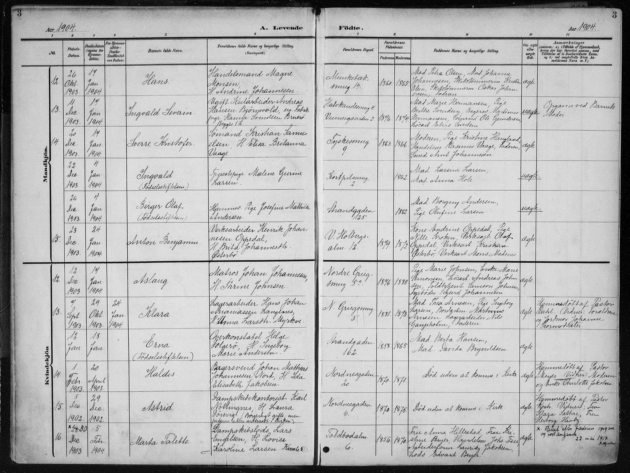 Nykirken Sokneprestembete, AV/SAB-A-77101/H/Haa/L0019: Parish register (official) no. B 7, 1904-1916, p. 3