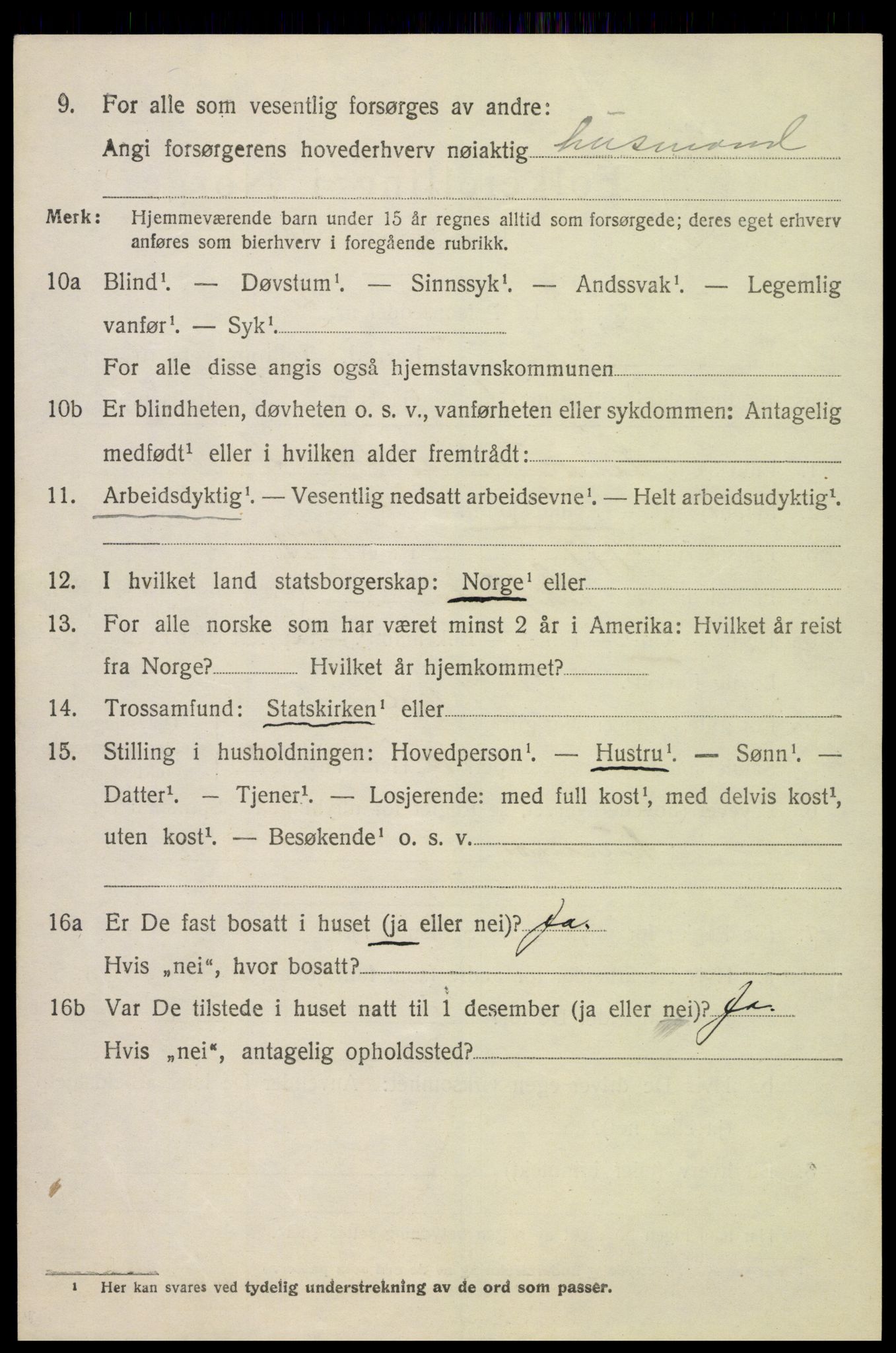 SAH, 1920 census for Skjåk, 1920, p. 1563