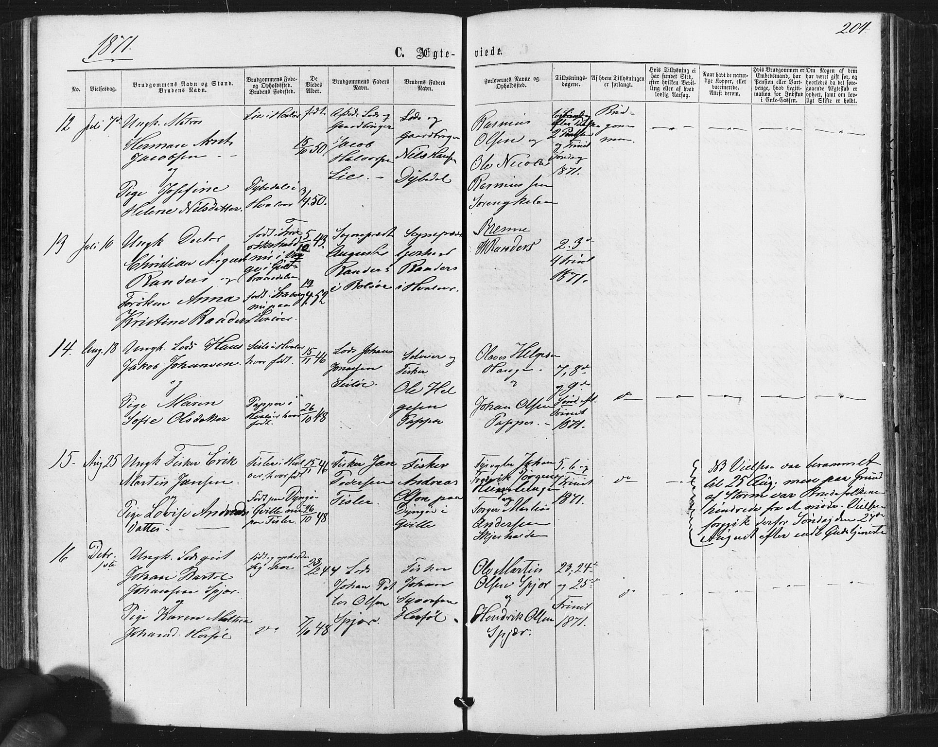 Hvaler prestekontor Kirkebøker, AV/SAO-A-2001/F/Fa/L0007: Parish register (official) no. I 7, 1864-1878, p. 204